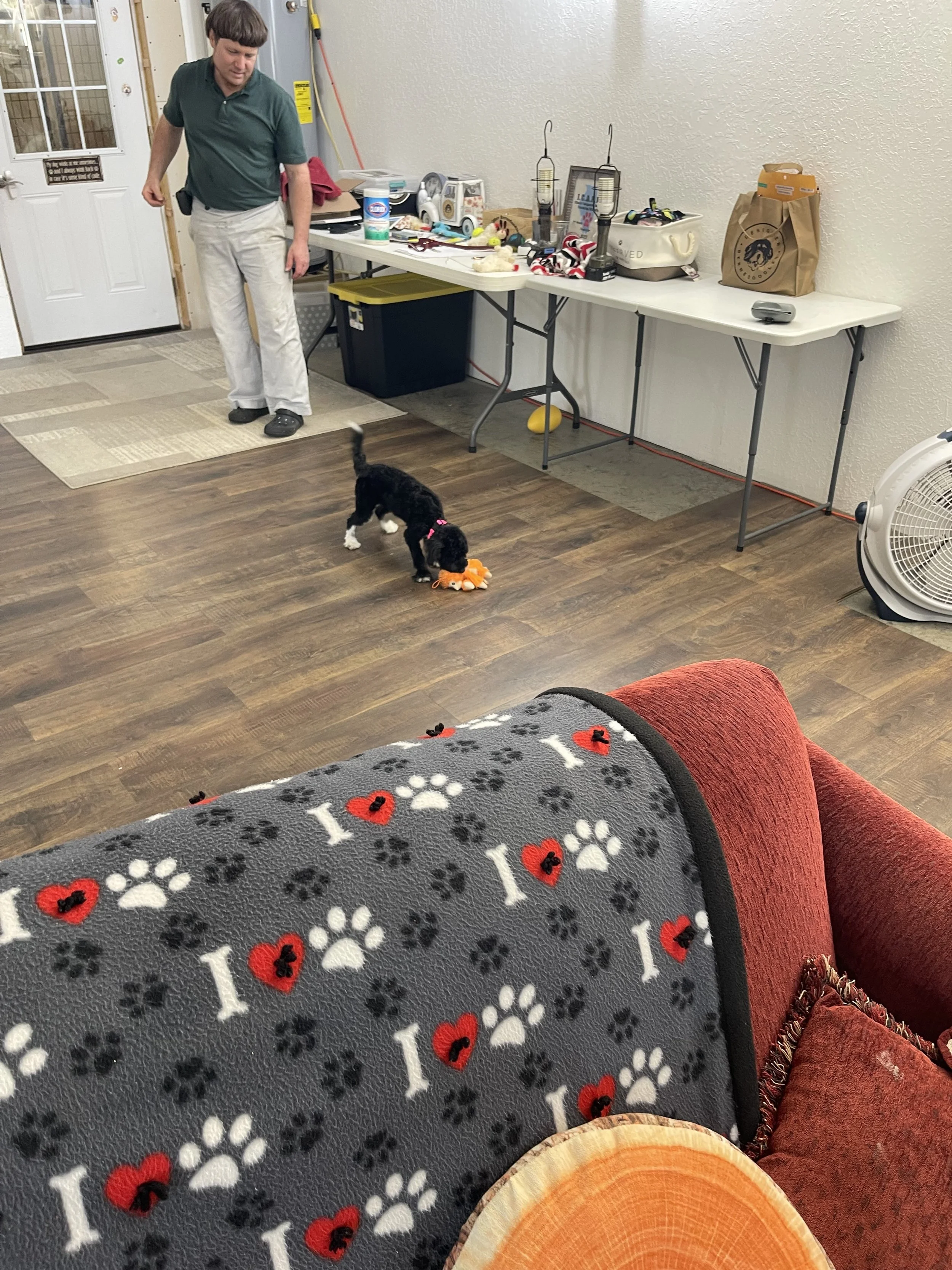 IMG_2712.jpeg