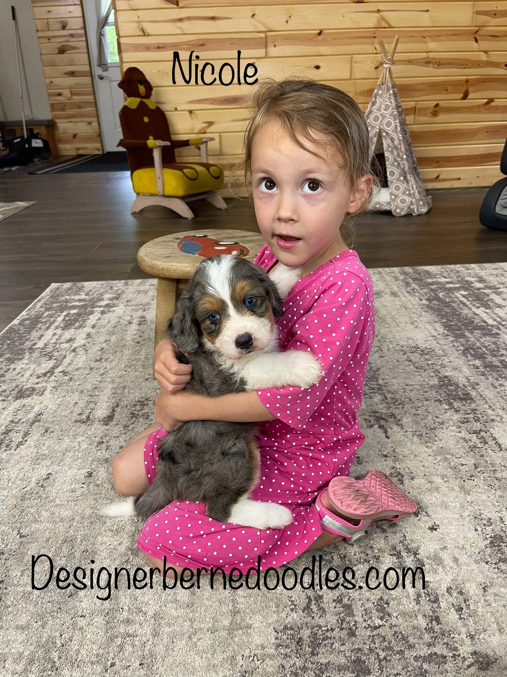 A small tri-colored mini bernedoodle and small girl in pink dress hold eachother in their arms on a gre carpet in a house