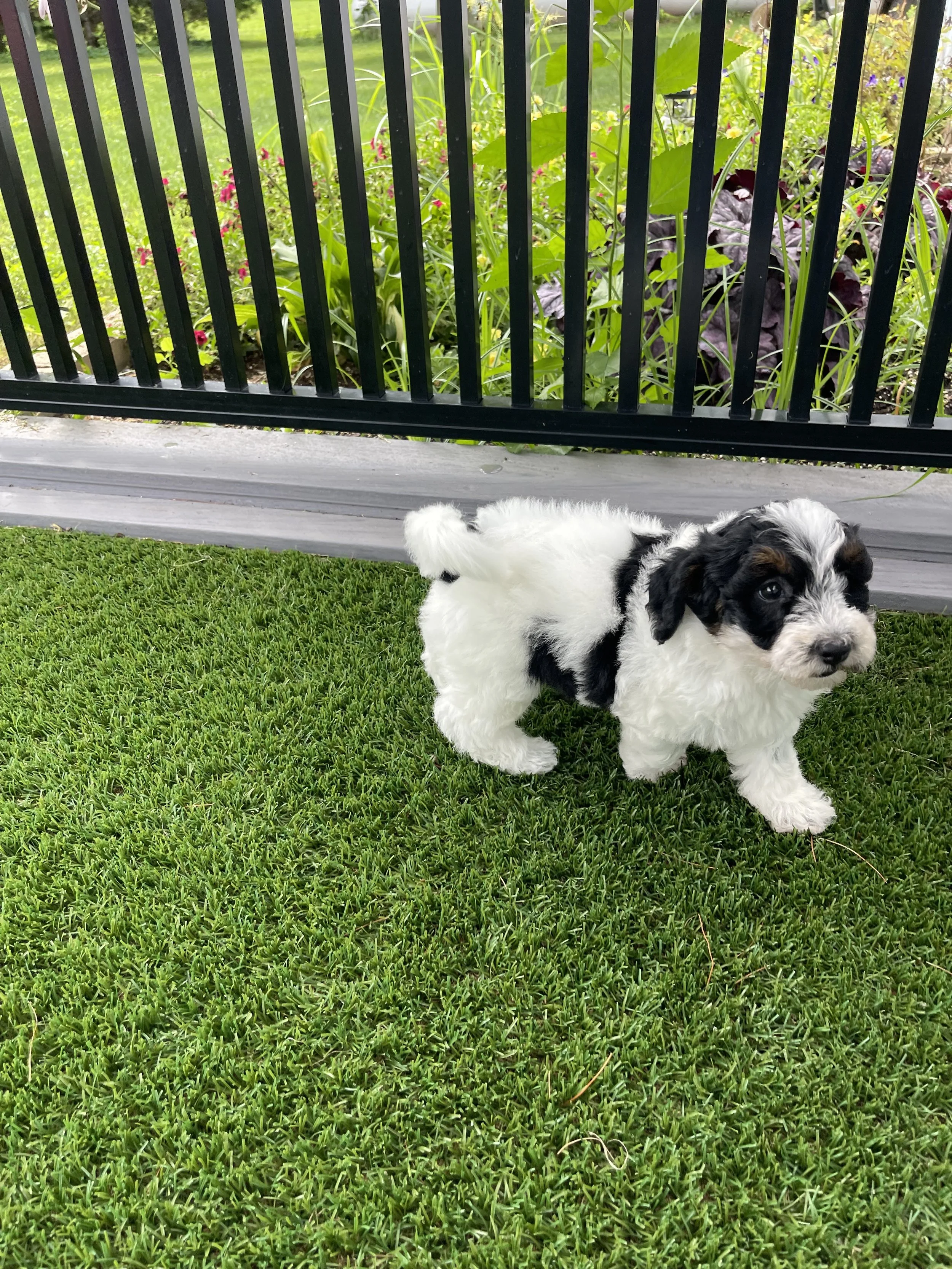 IMG_7028.jpeg