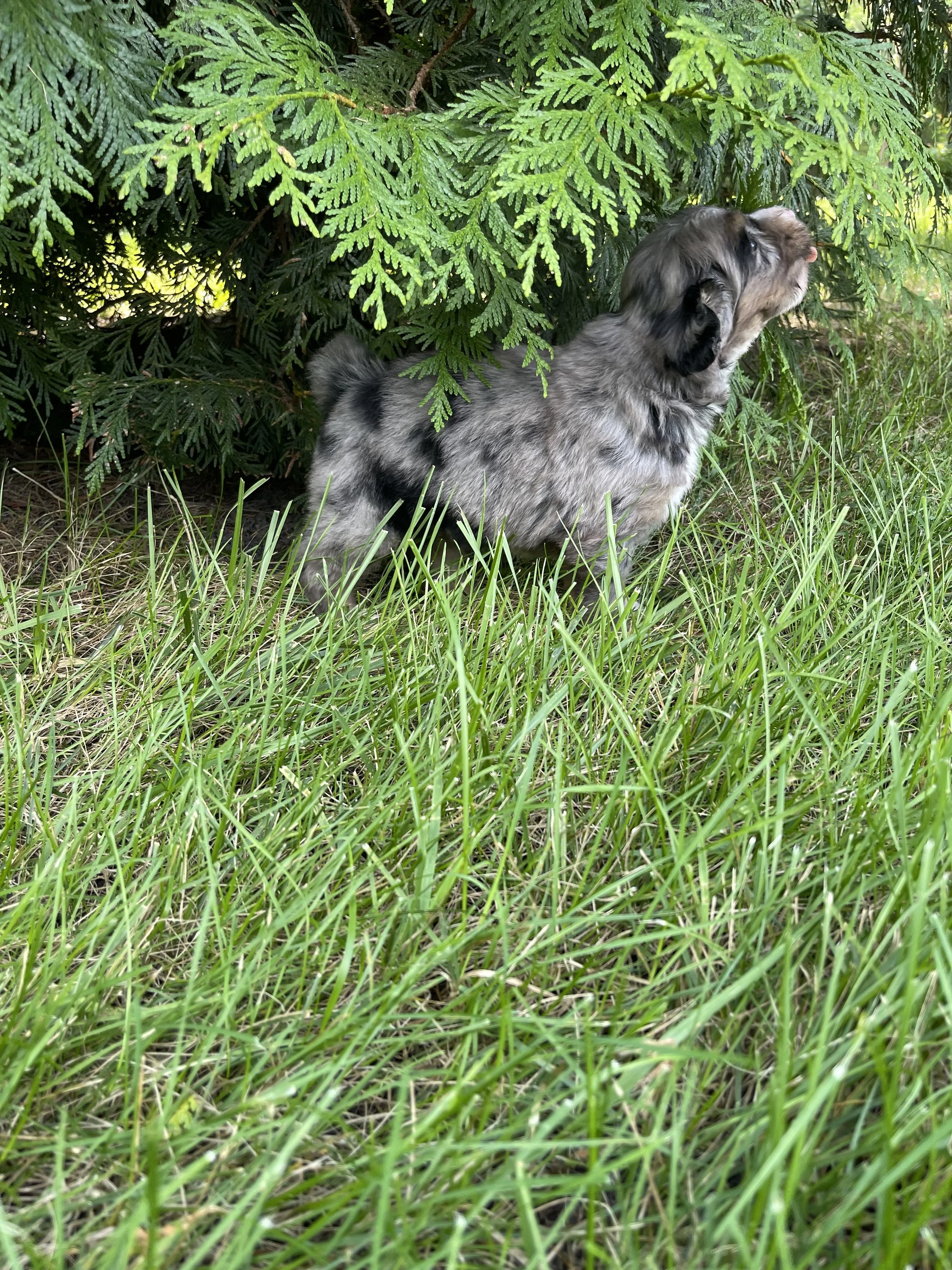 IMG_7222.jpeg