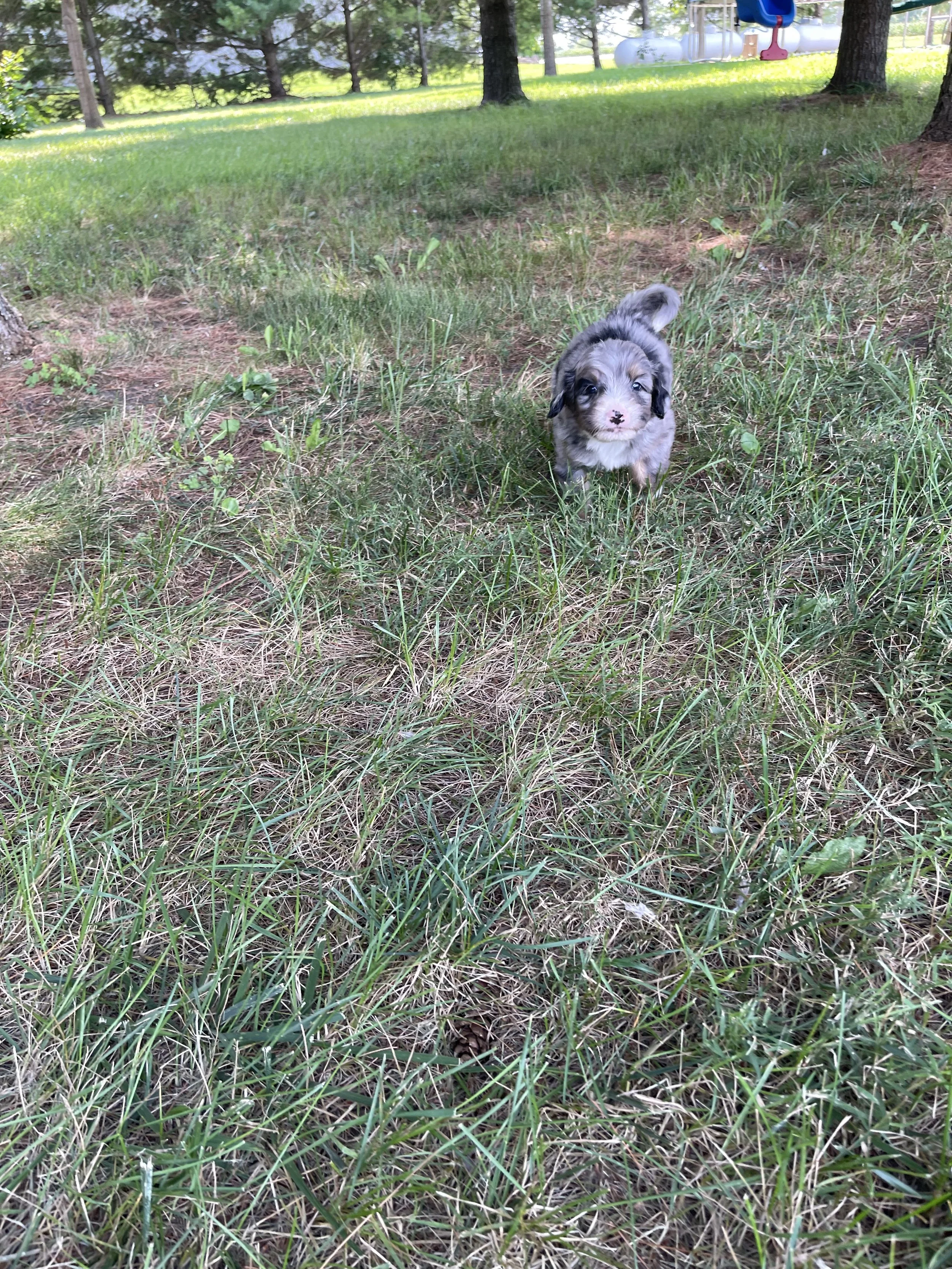 IMG_7213.jpeg