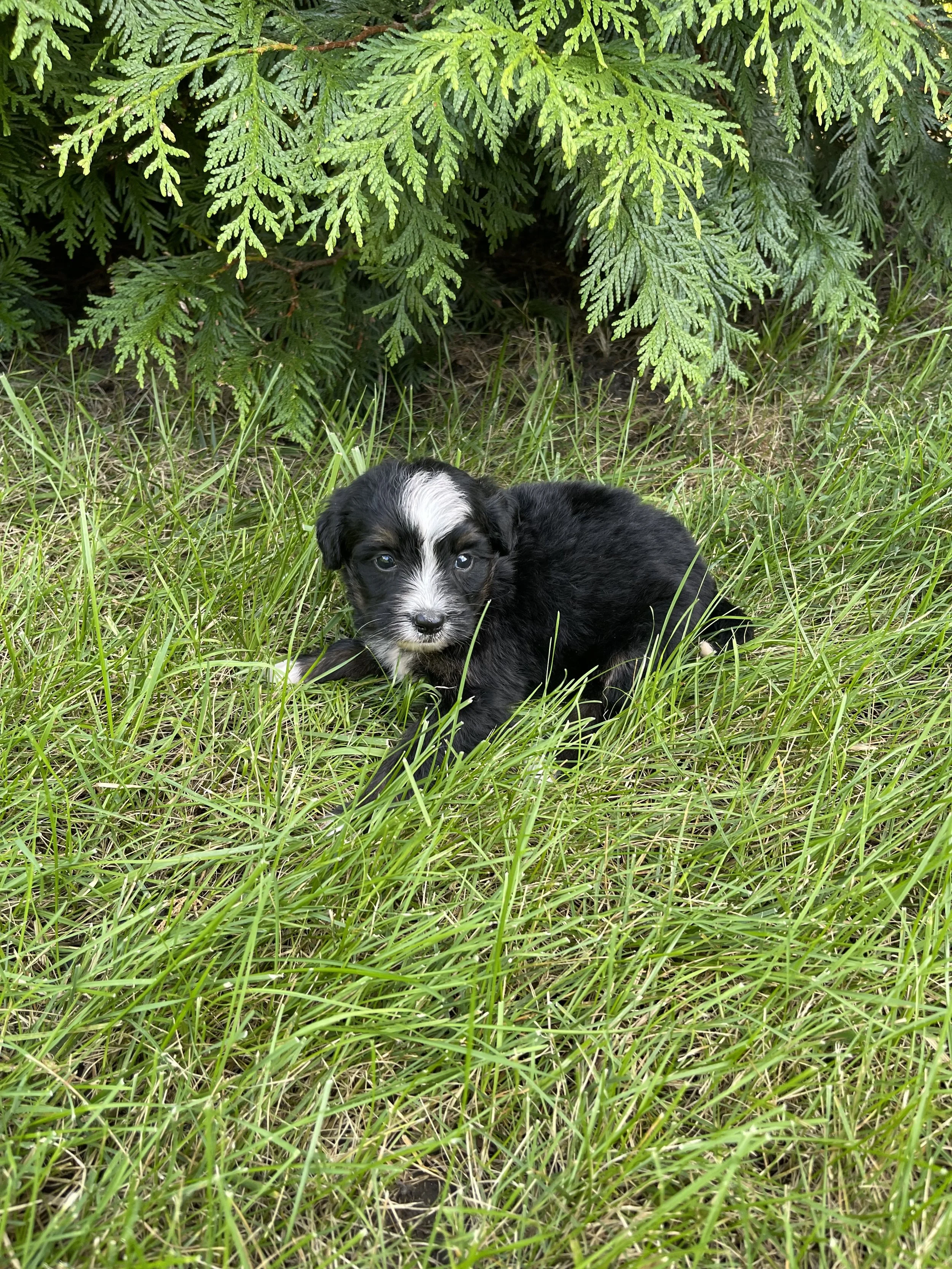 IMG_7241.jpeg