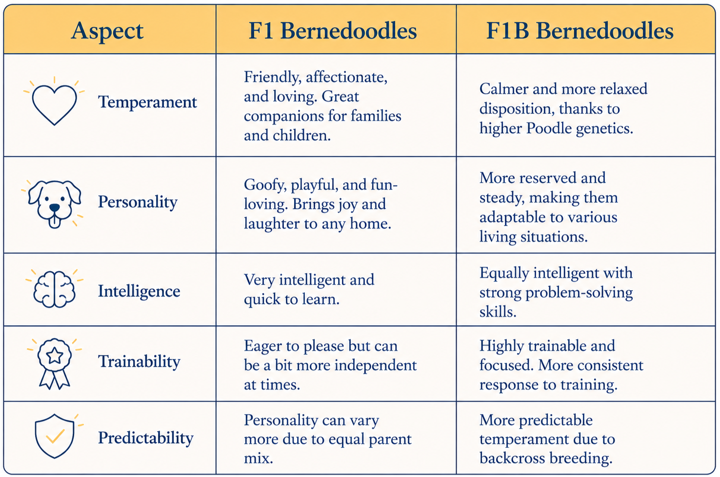 A graph showing the differences between f1 vs f1b bernedoodles with categories like temperament, personality, intelligence, trainability, and predictability