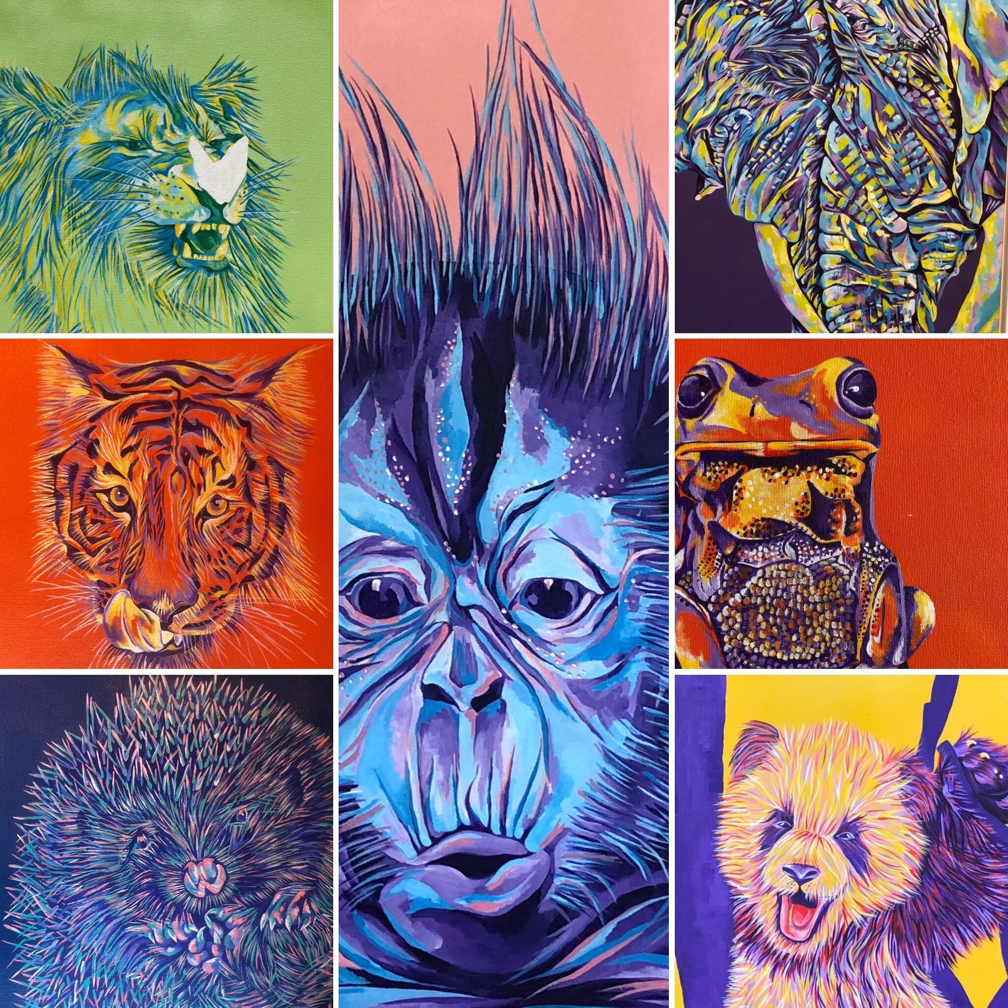 Animal Artwork Collection.JPG