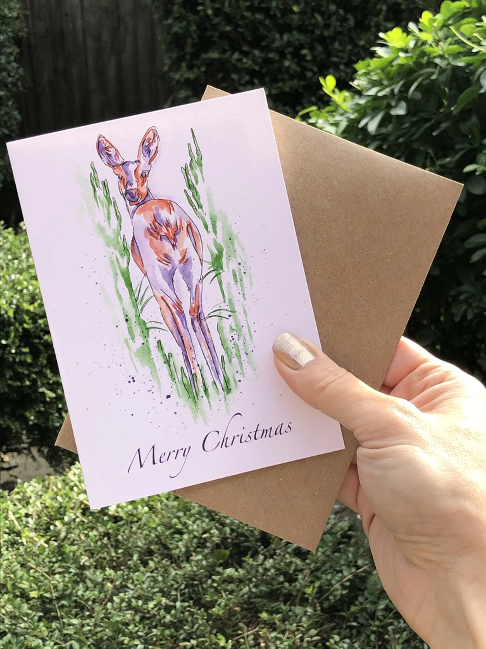 Deer in Long Grass