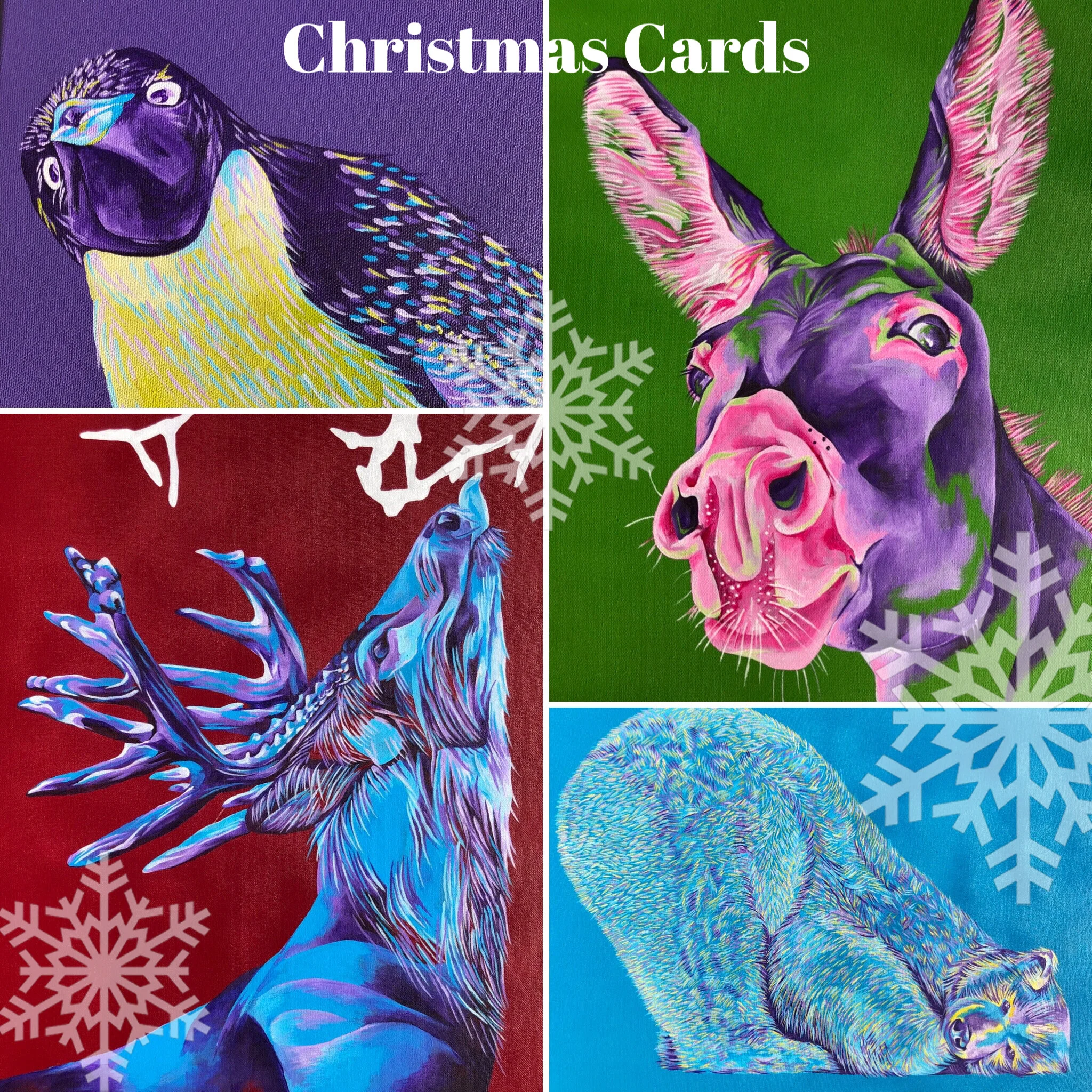 AA Paint Cover Image SNOW.JPG