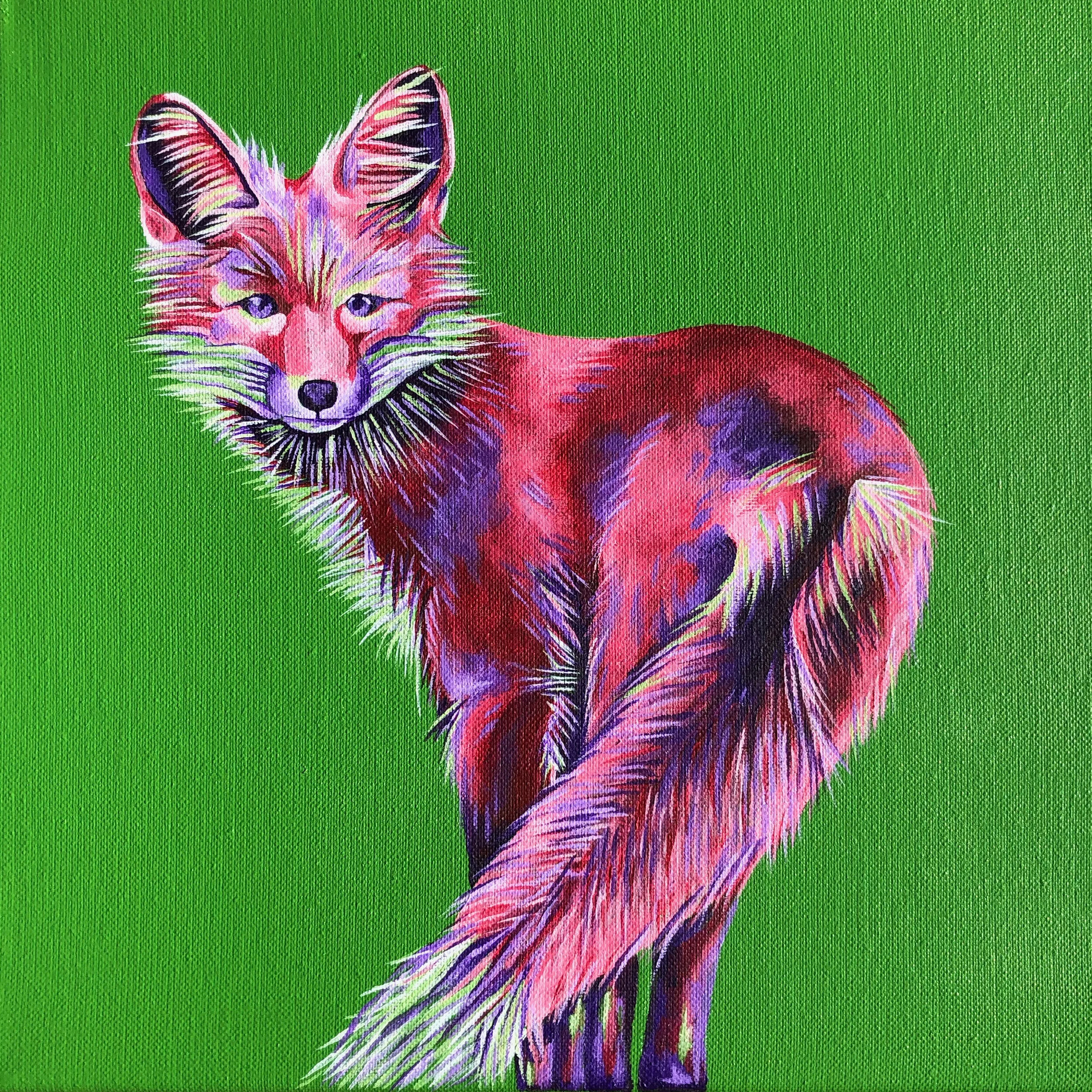 Fox.jpg