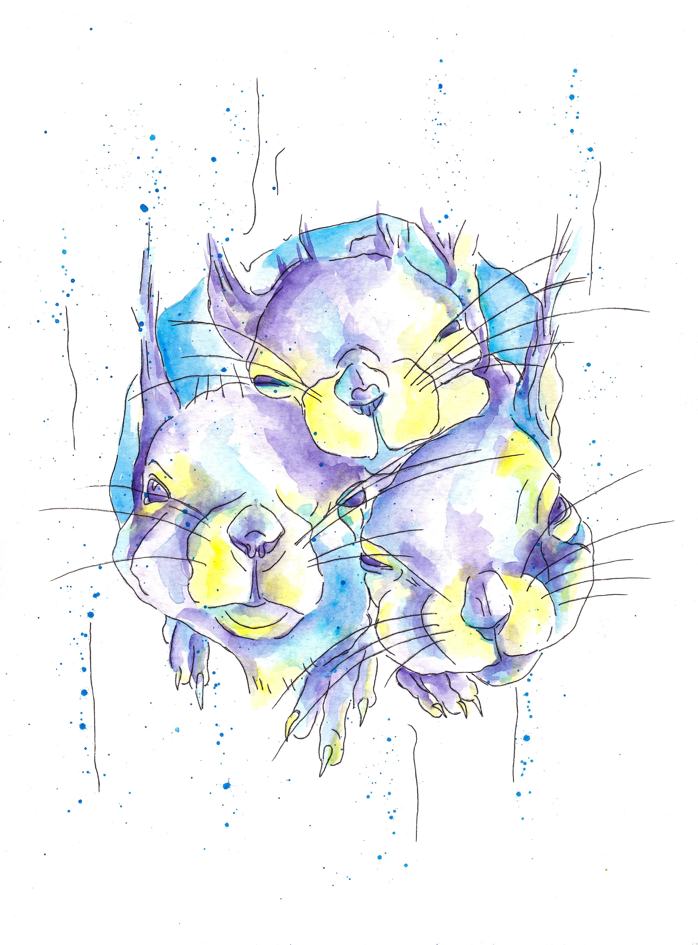 Squirrels in Tree.JPG