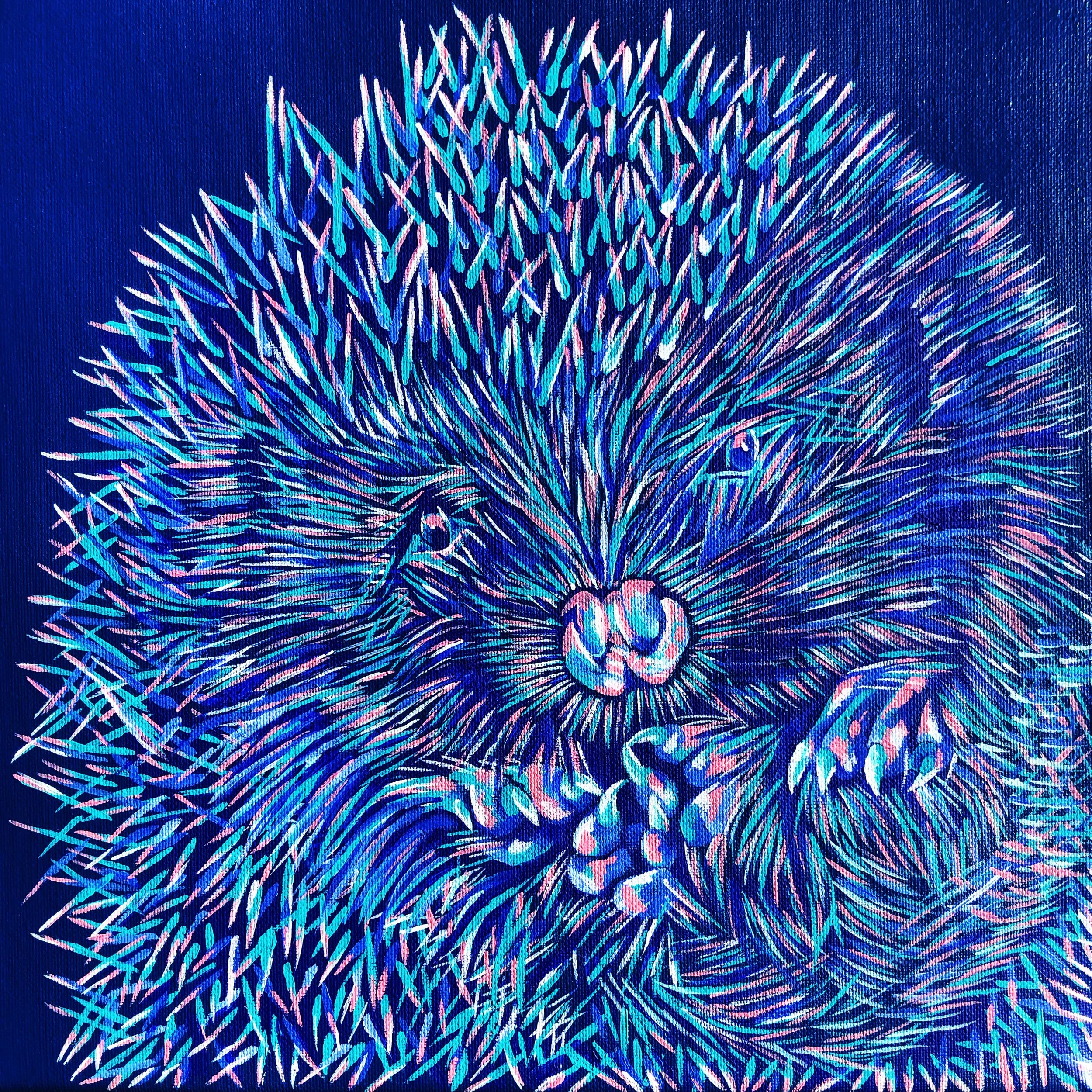 Hedgehog BRIGHTERPLAY.JPG