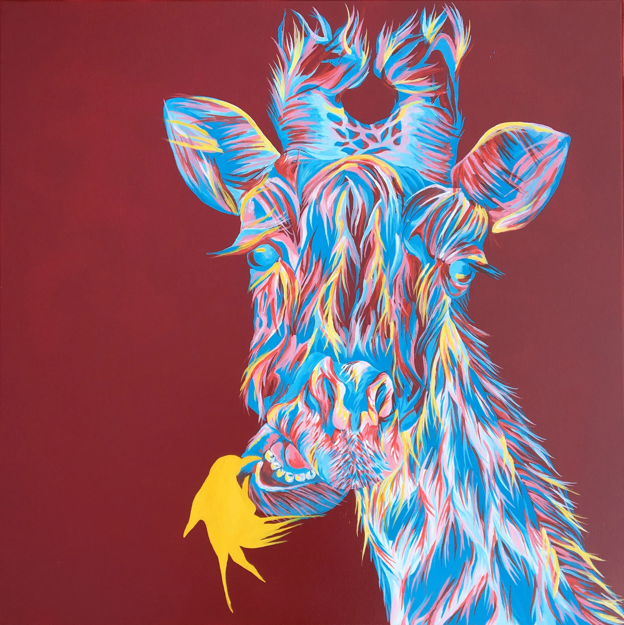 Dentist's Delight.JPG