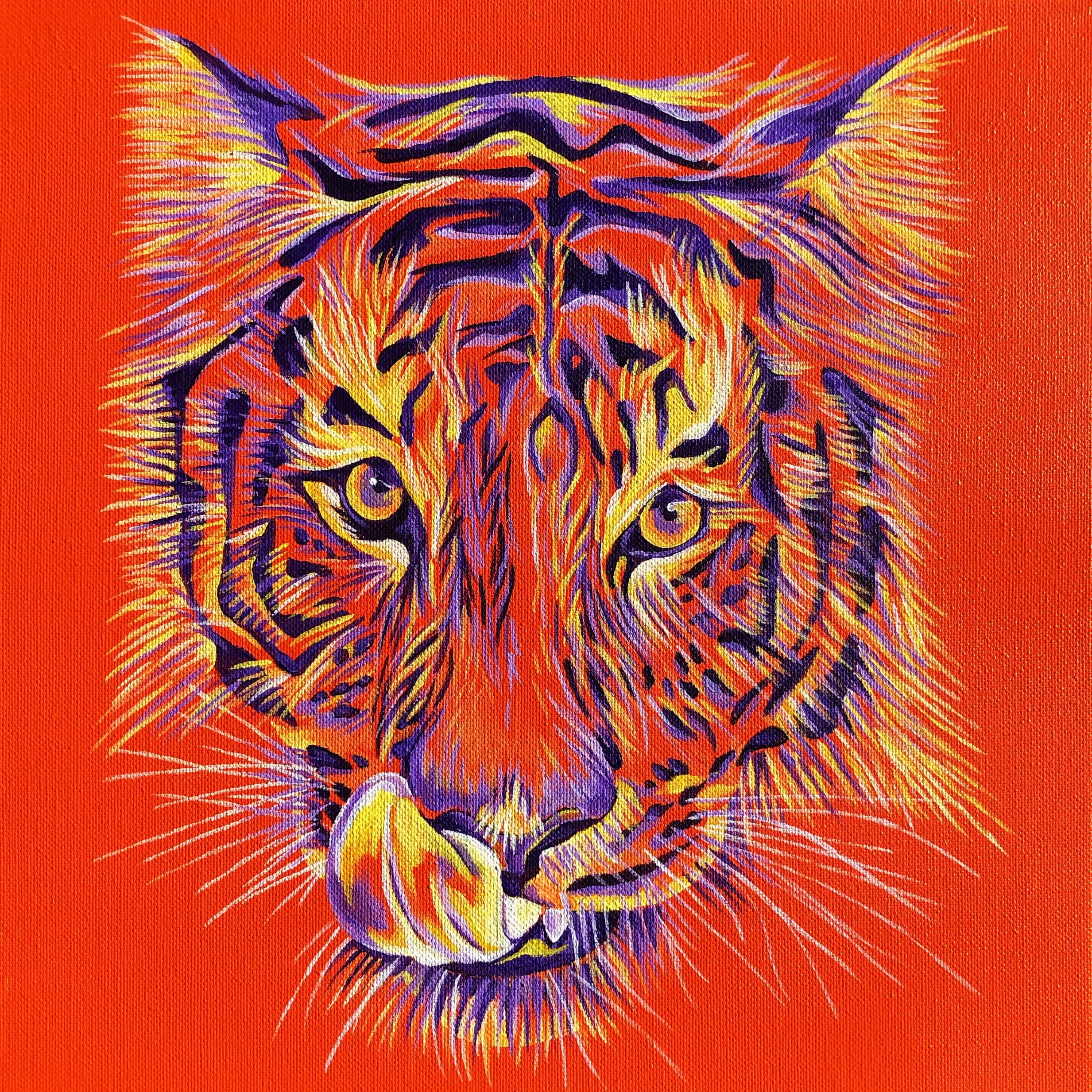 Tiger.jpg