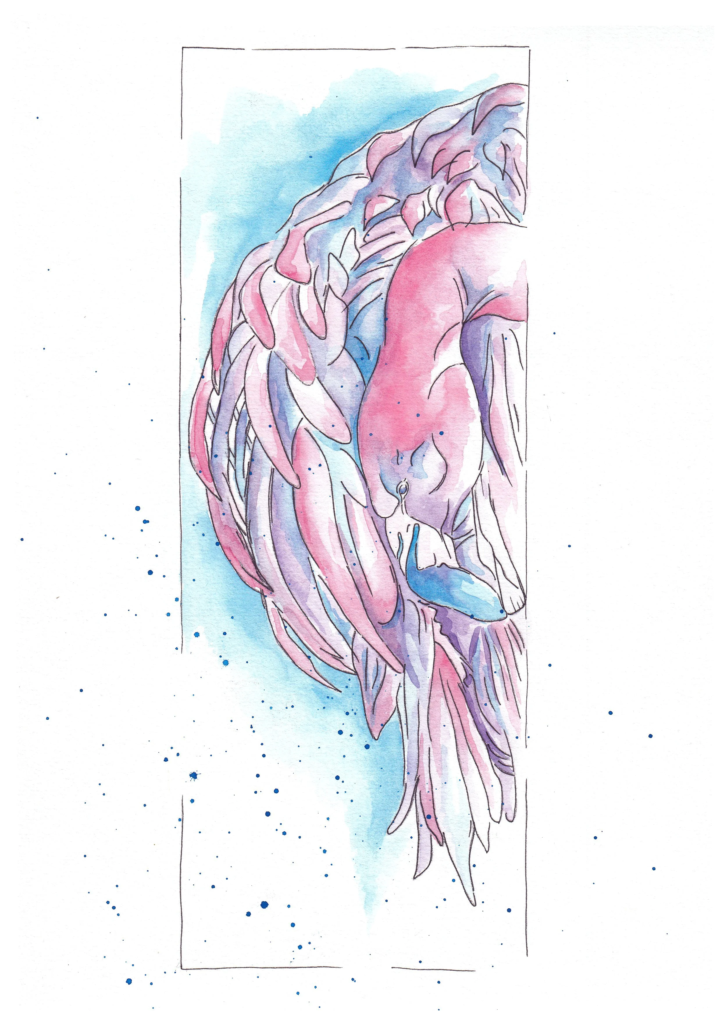 Flamingo2.jpg
