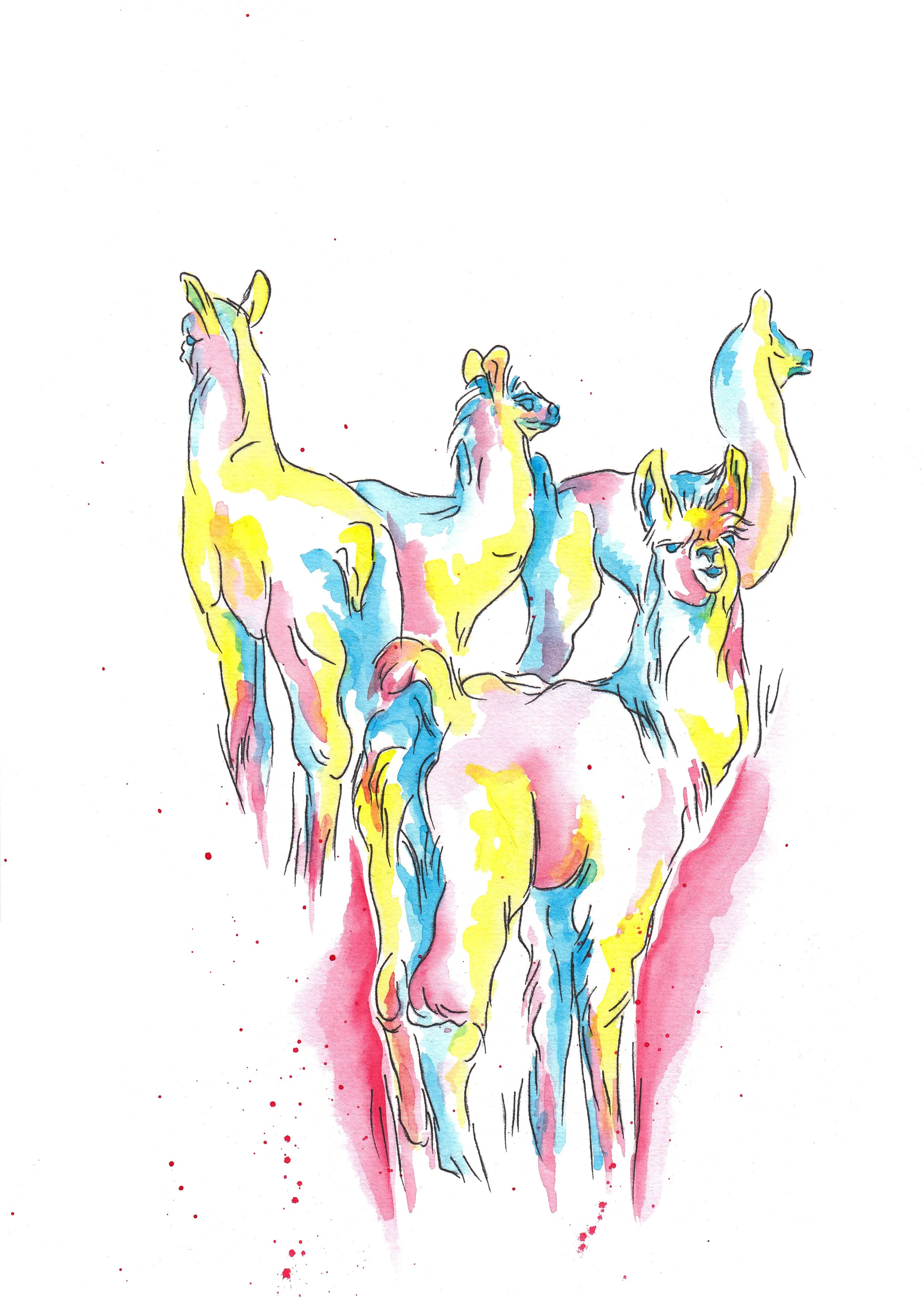 Llama crowd w.flicks.JPG