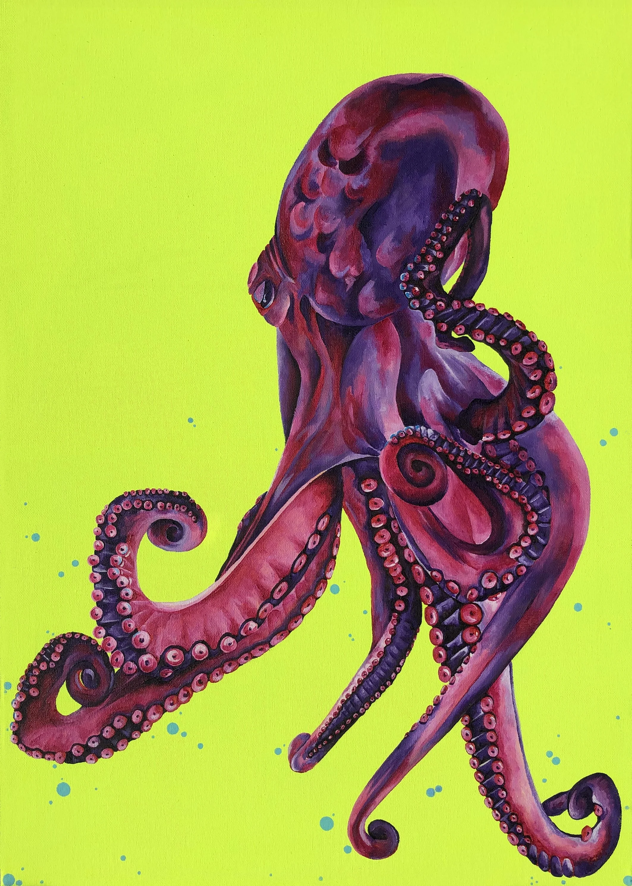 The Purple Cephalopod.JPG