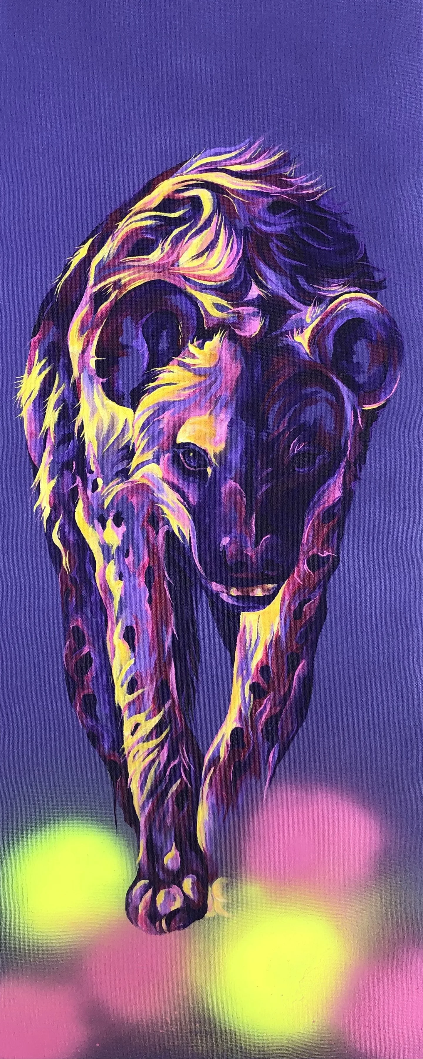 Hyena for website.JPG