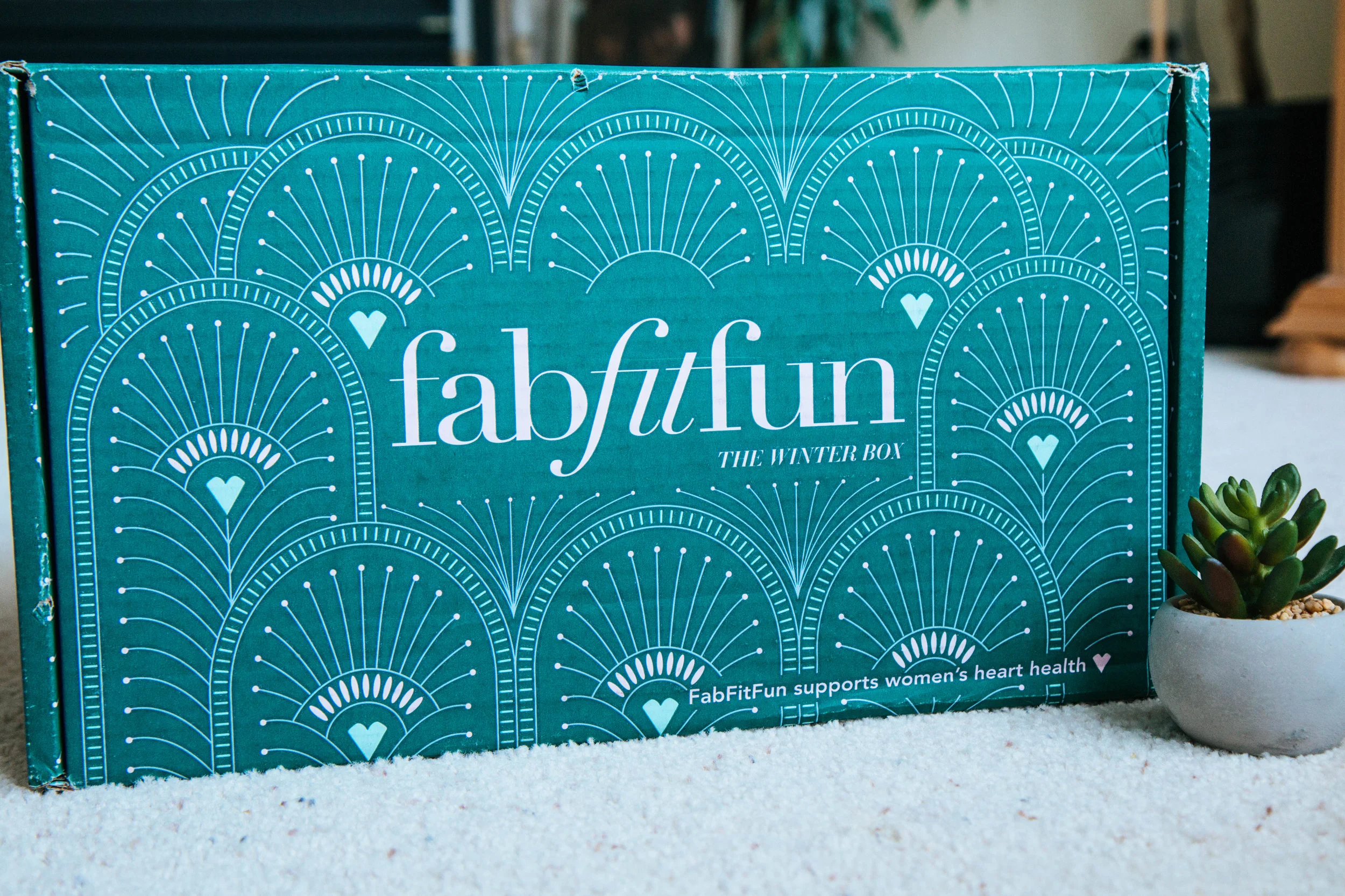 Fab Fit Fun Winter Box 2017 Bri Sul