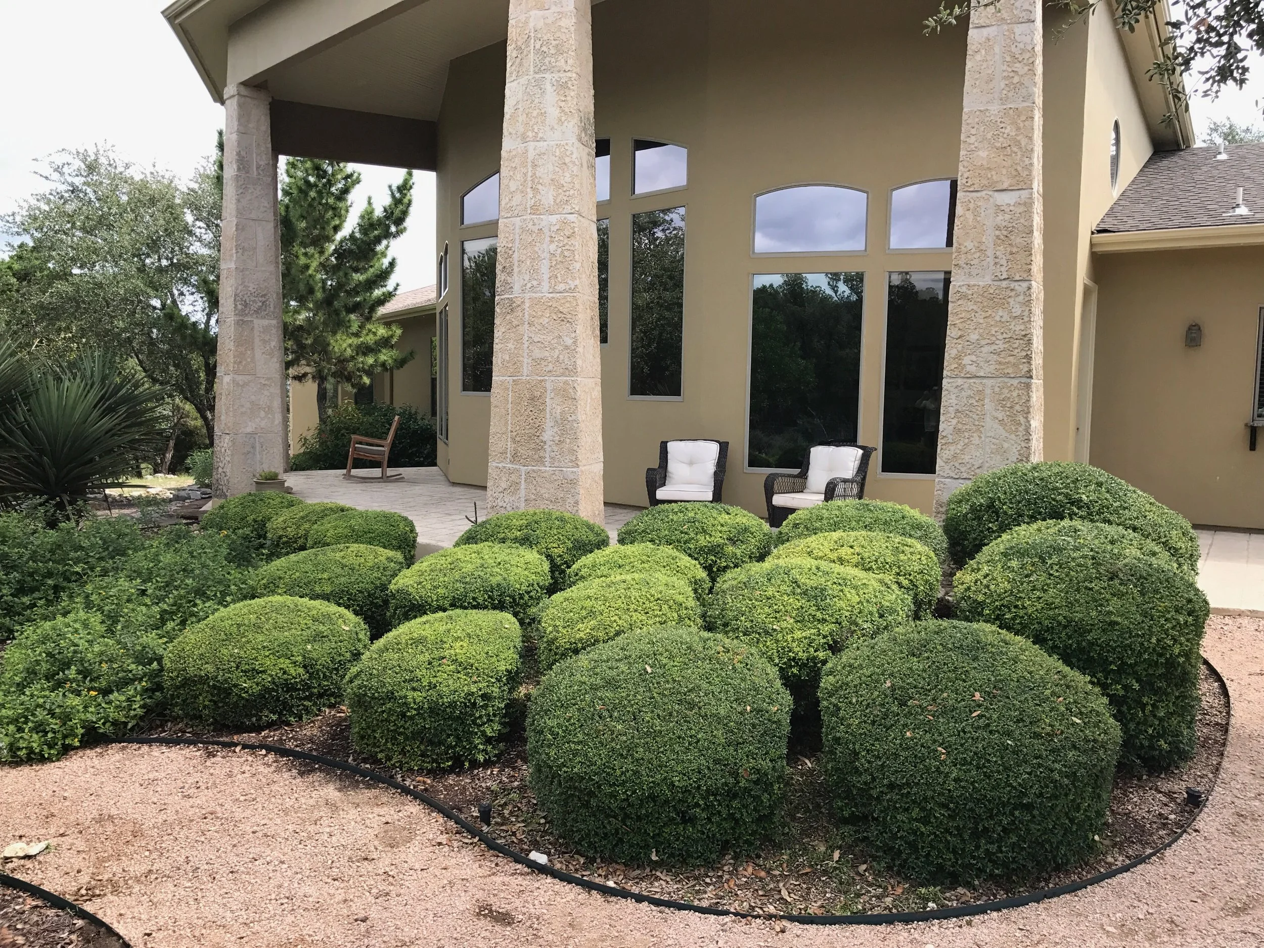 Shrub TRIMMING.jpg