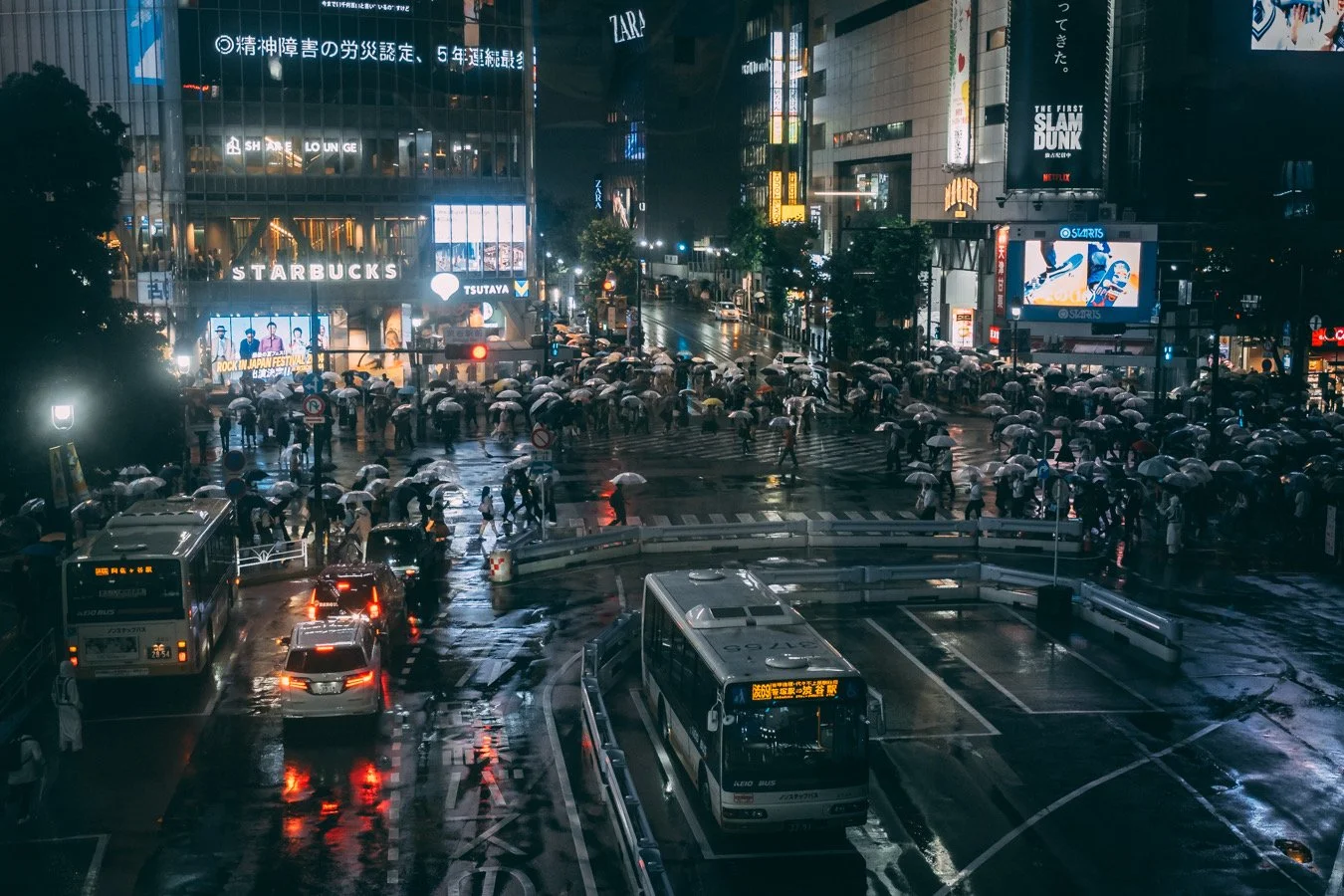 Travel (International)