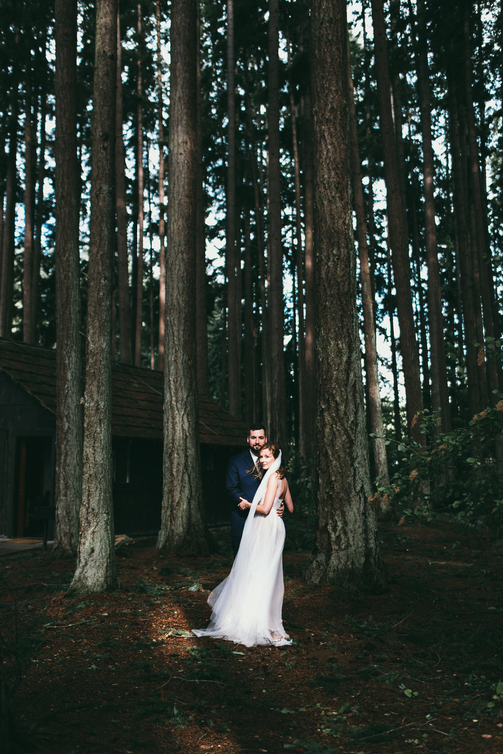 tall trees and bride and groom in a sunny patch at kitsap memorial state park