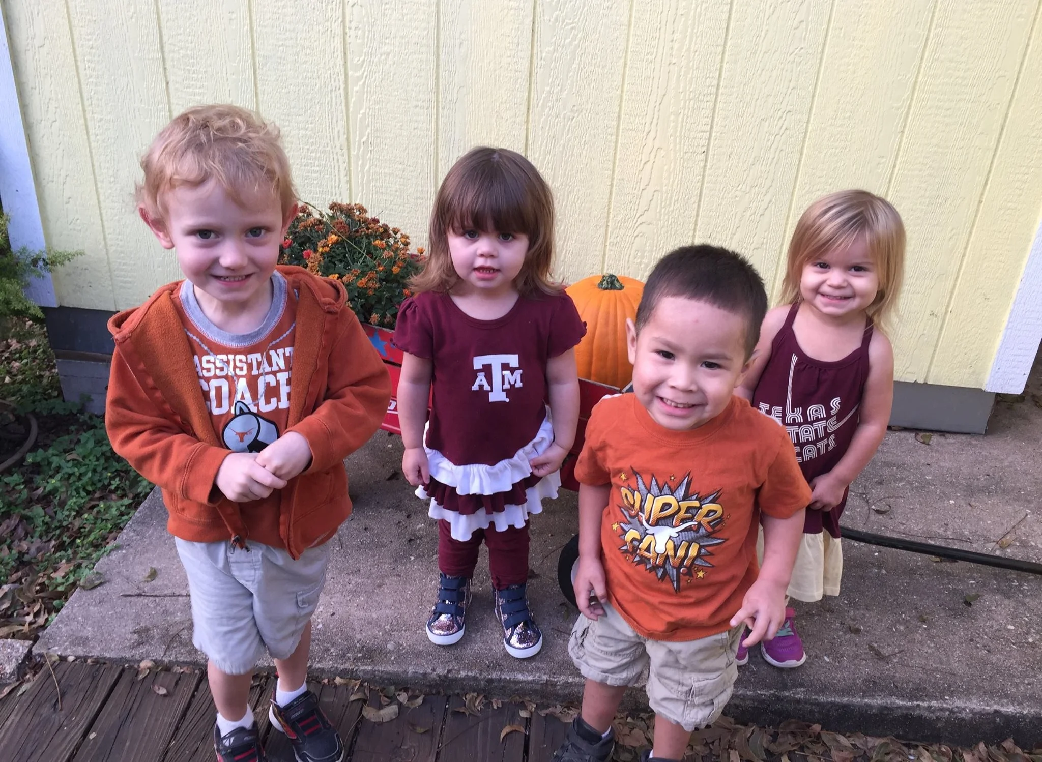 longhorns.jpg