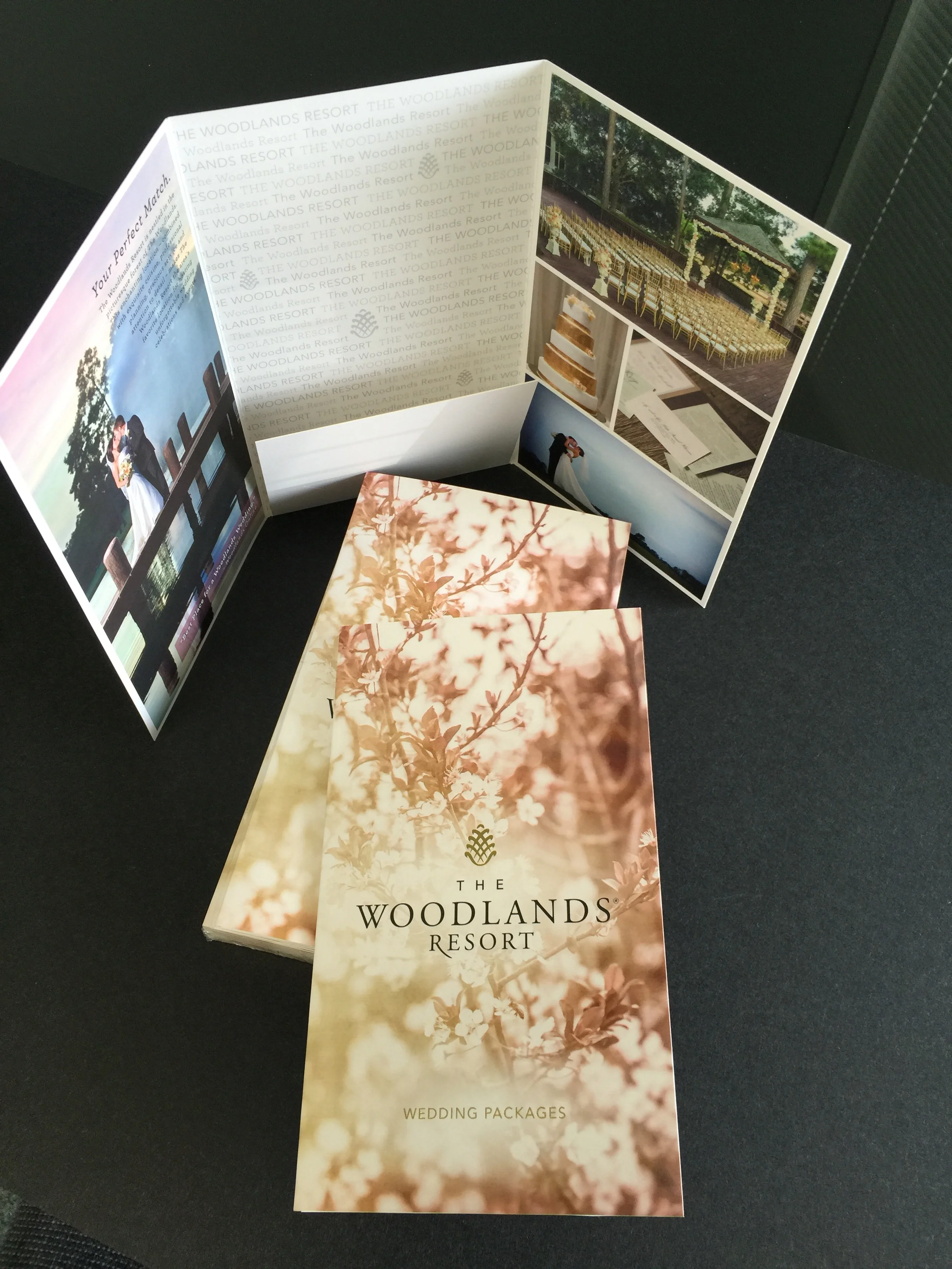 WdldsResort_wedding2.JPG