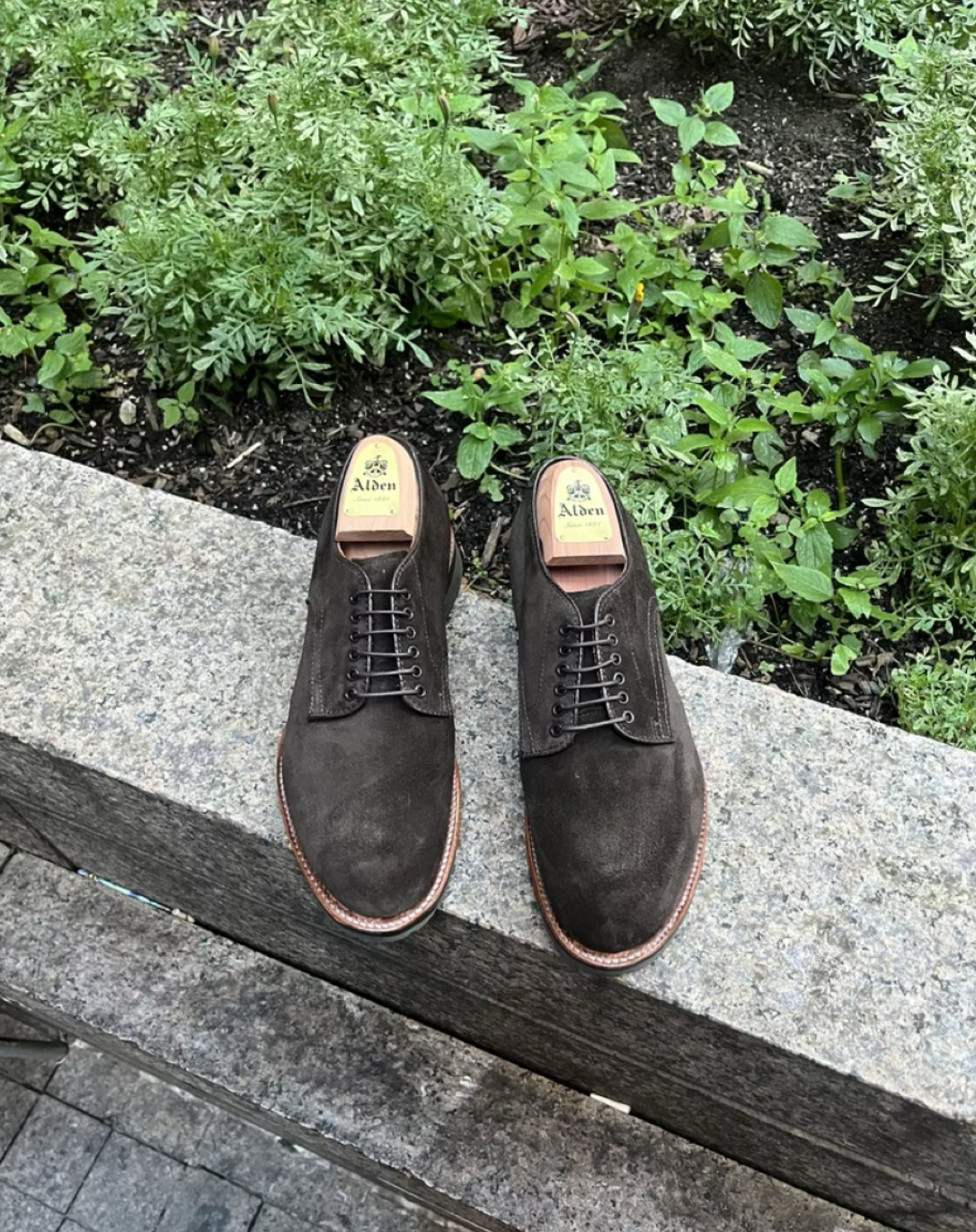 #D9405 Brown Chocolate Suede