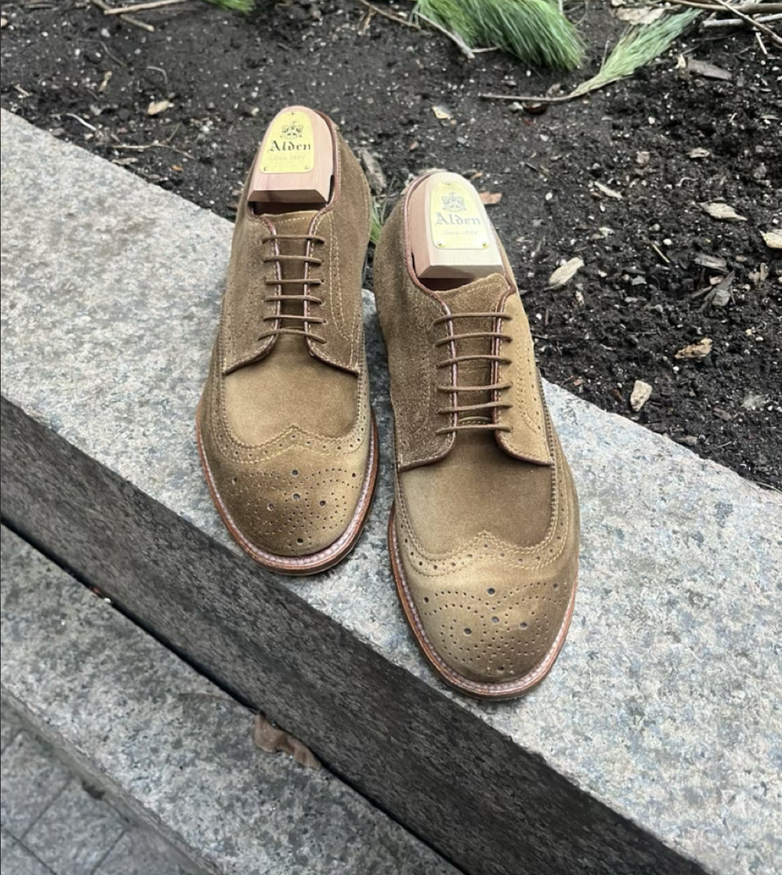 Screenshot 2026-01-15 at 7.58.51 PM.png