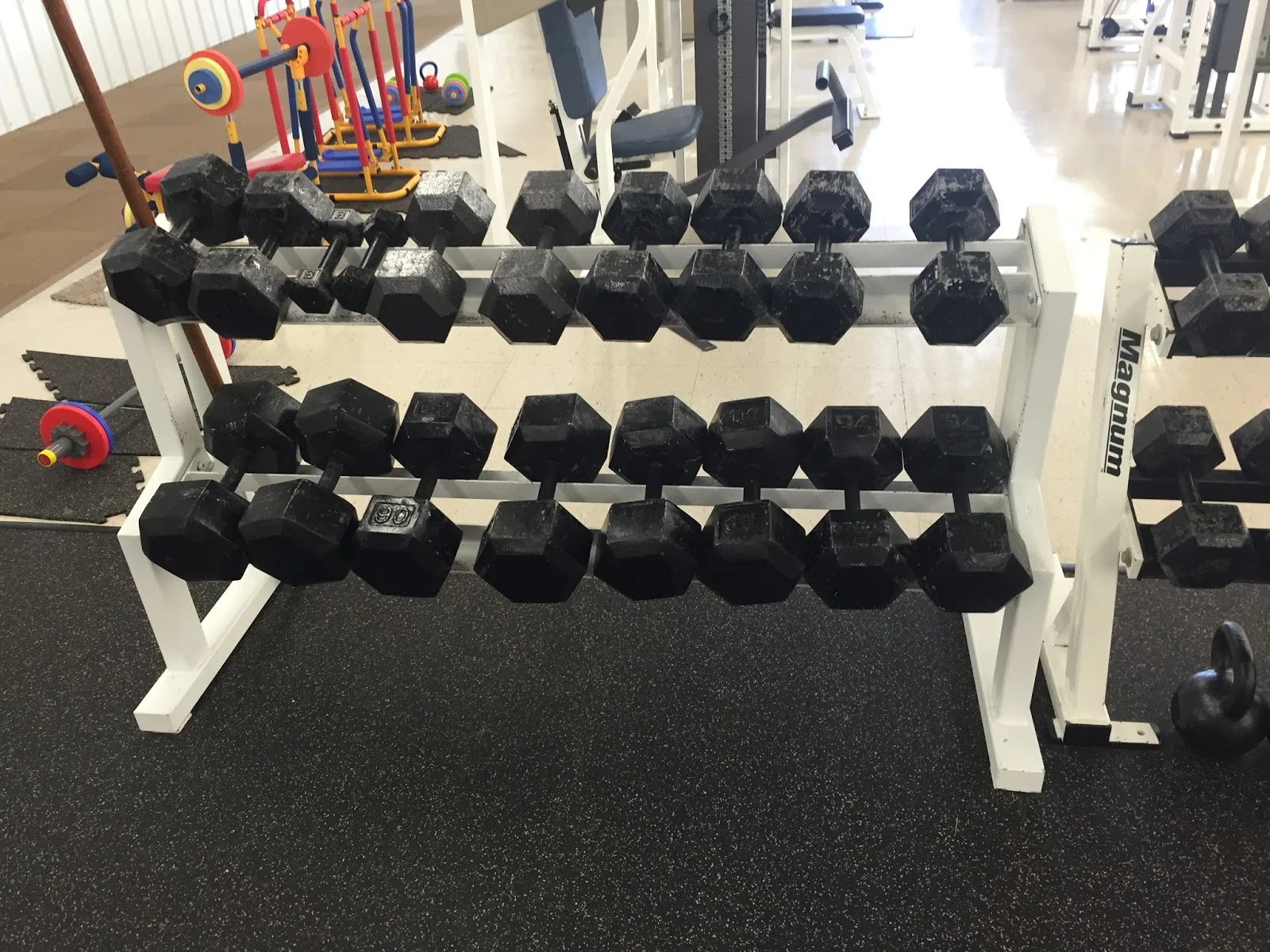 2015-08-07 12.17.03.jpg