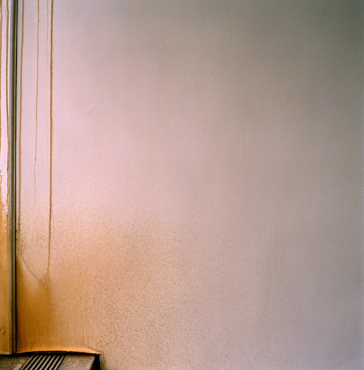 Farmilant_Mary_04_Drip.jpg