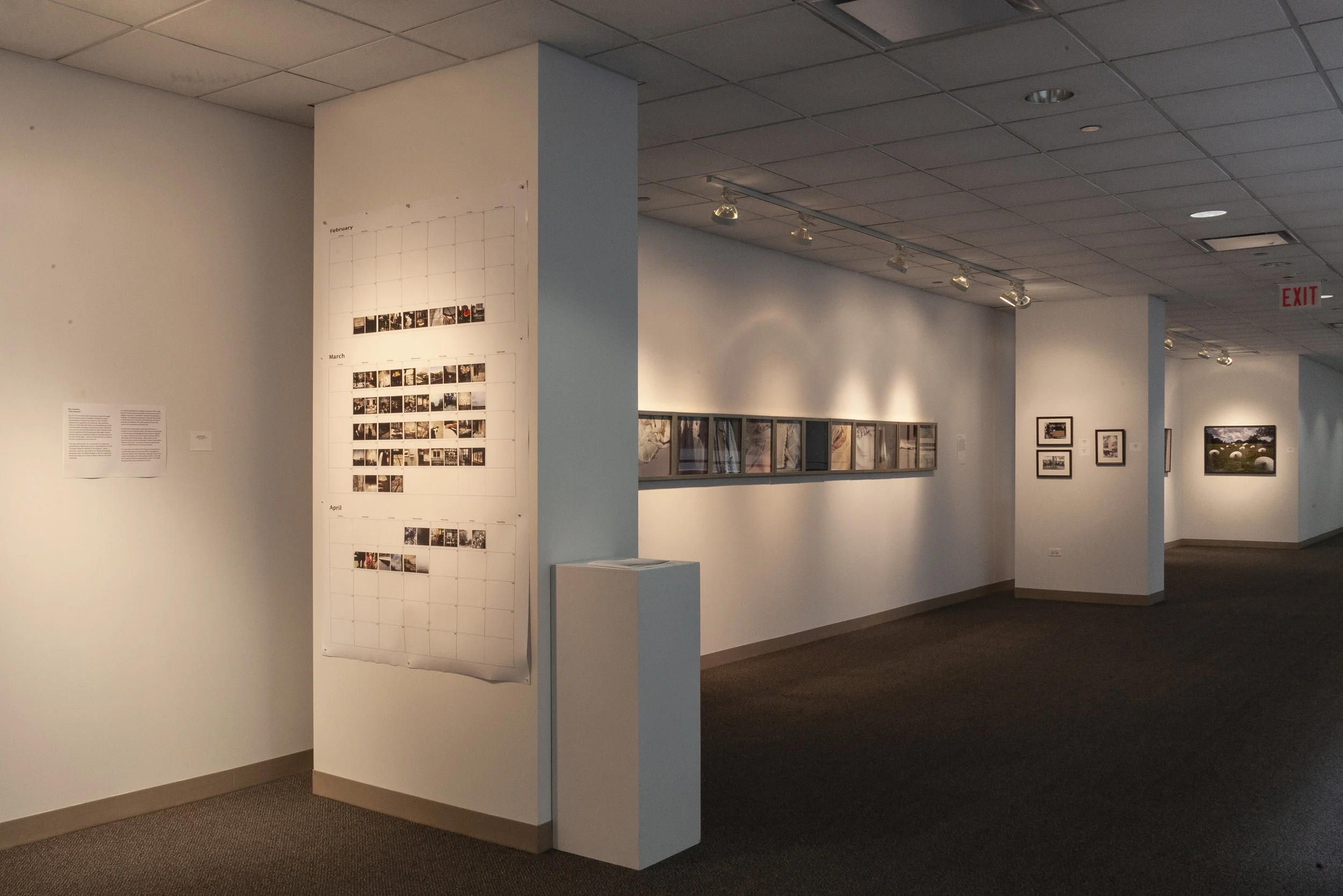 PinkNoiseExhibit_VeeckGallery.jpg