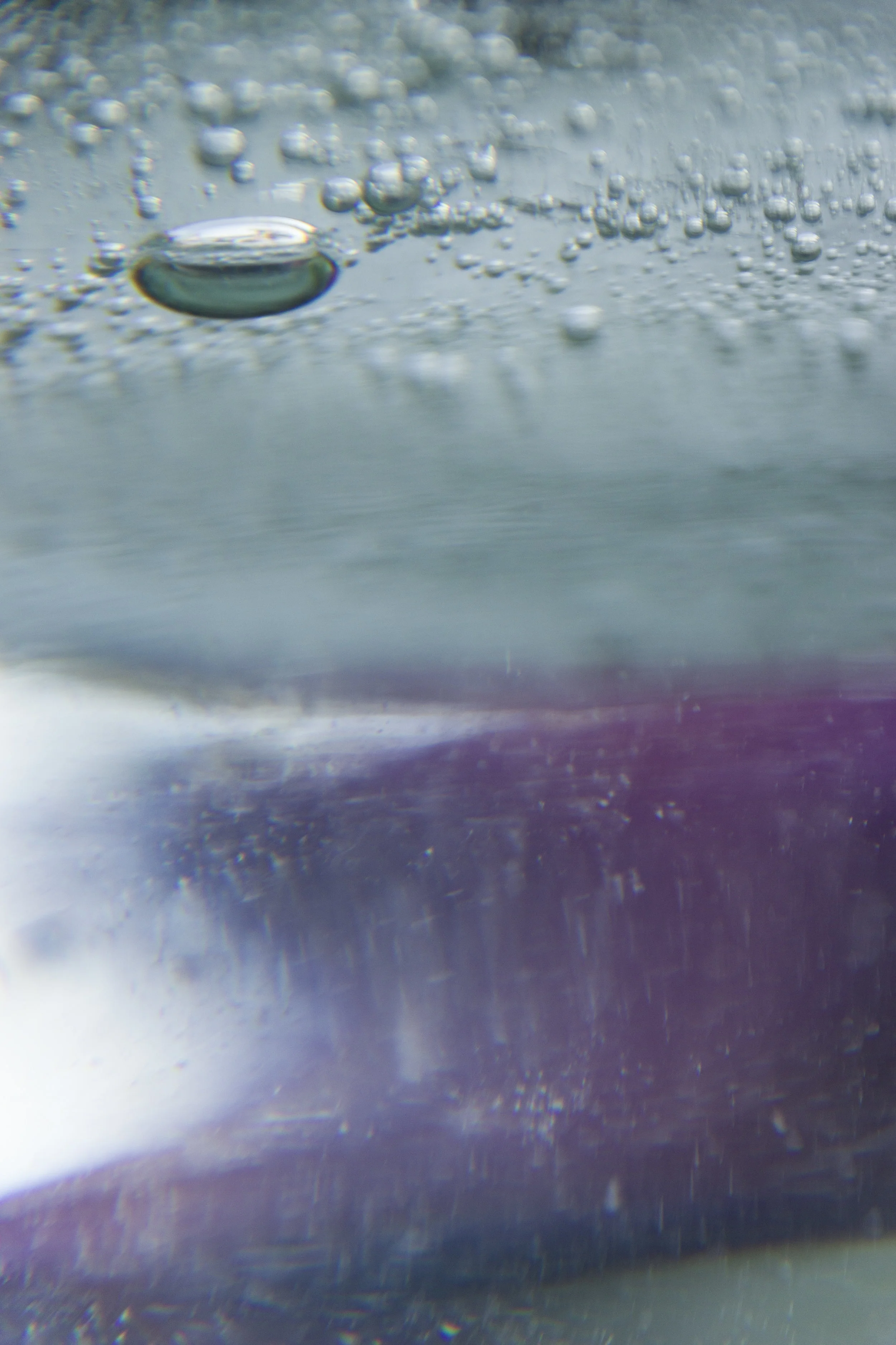 LS_1508.jpg