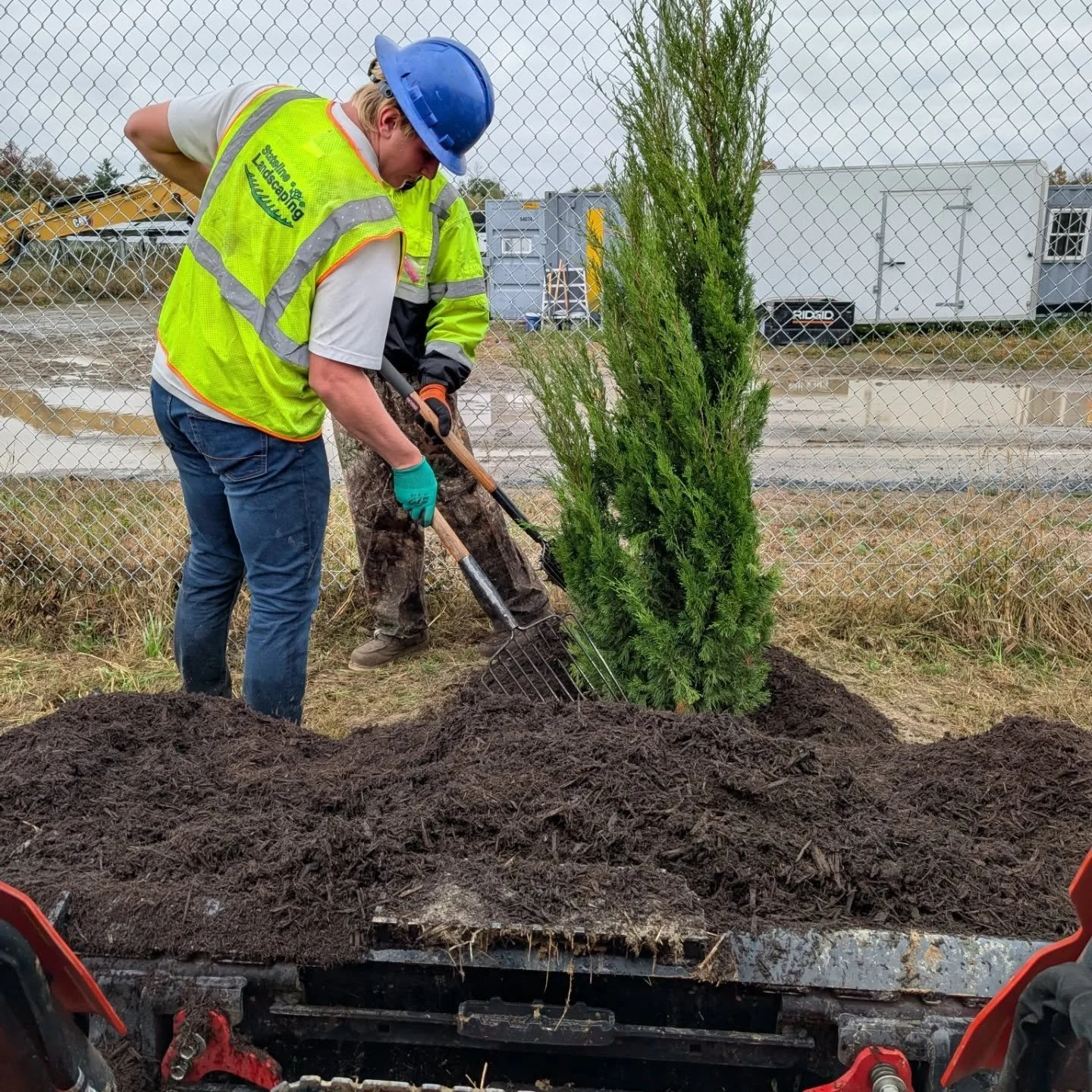 Last set of trees and mulch being installed this week. Then on to the next one! #landscape #kubota #bobcat #trees