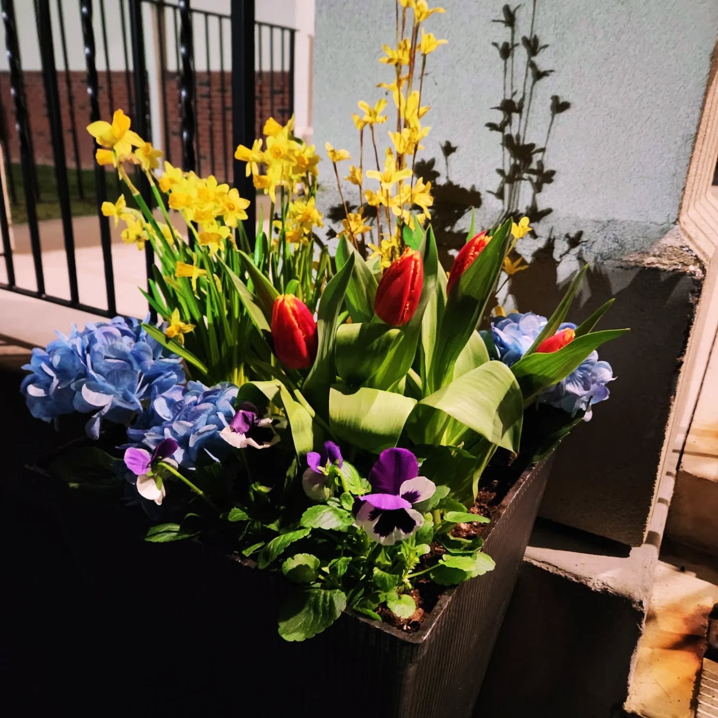 Spring is here! #spring #flowers