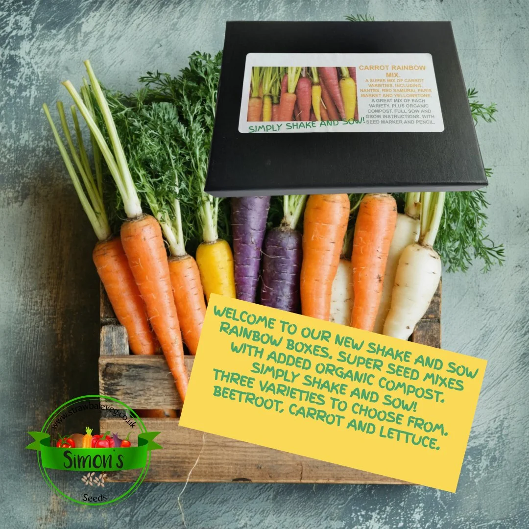 A New Design (68).jpg