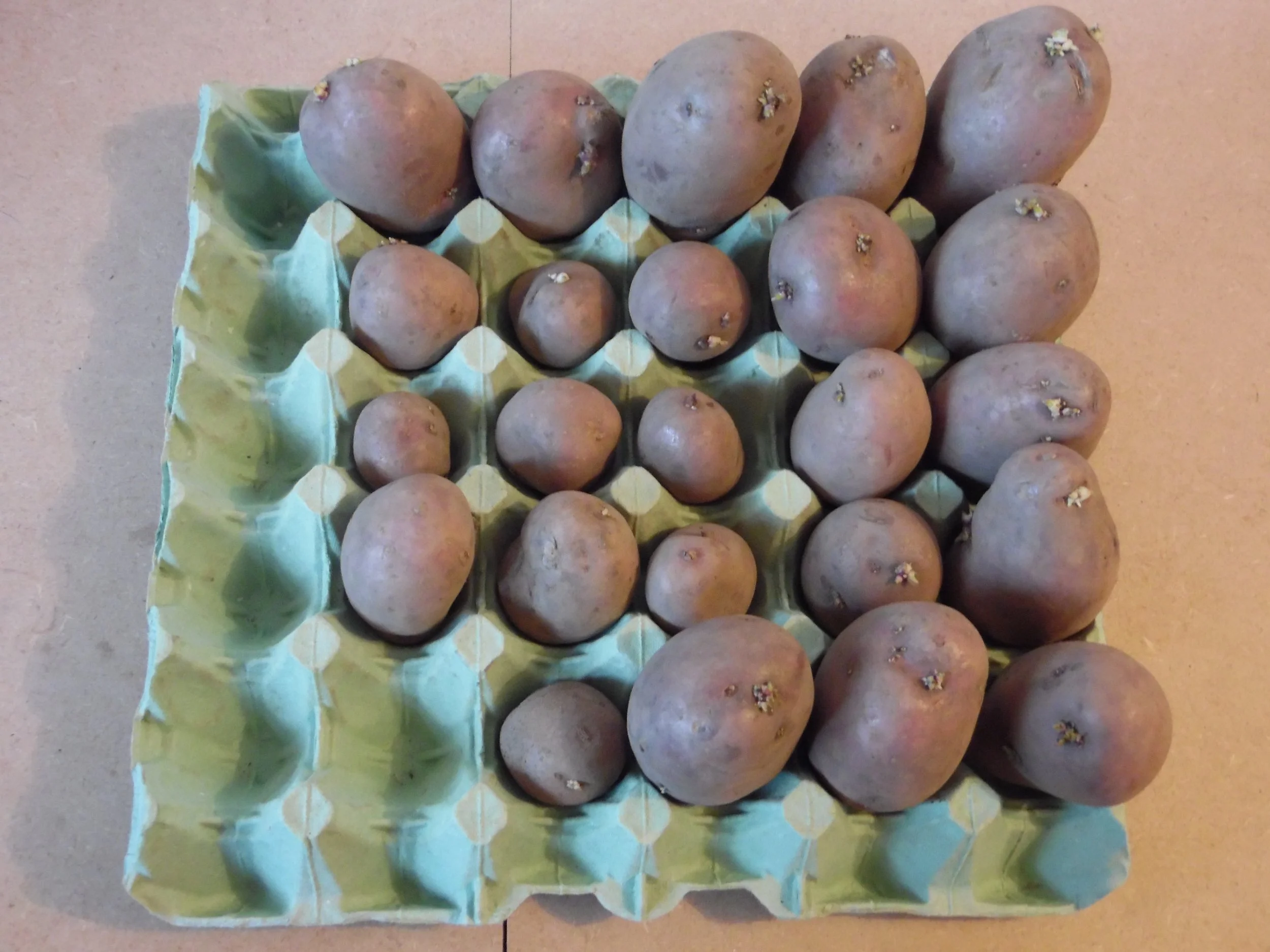 The Lowdown on Growing Spuds in Strawbales. — StrawbaleVeg ...