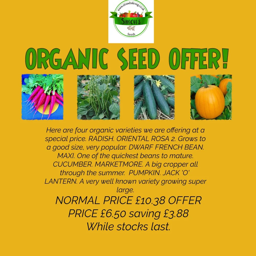 Organic Seed Offer. — StrawbaleVeg UKStrawbalevegUK-Learn how to garden in  strawbales