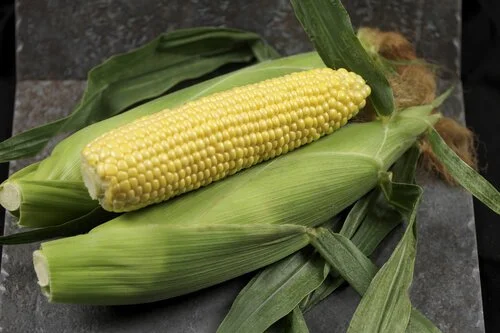 sweetcorn golden hind.jpg