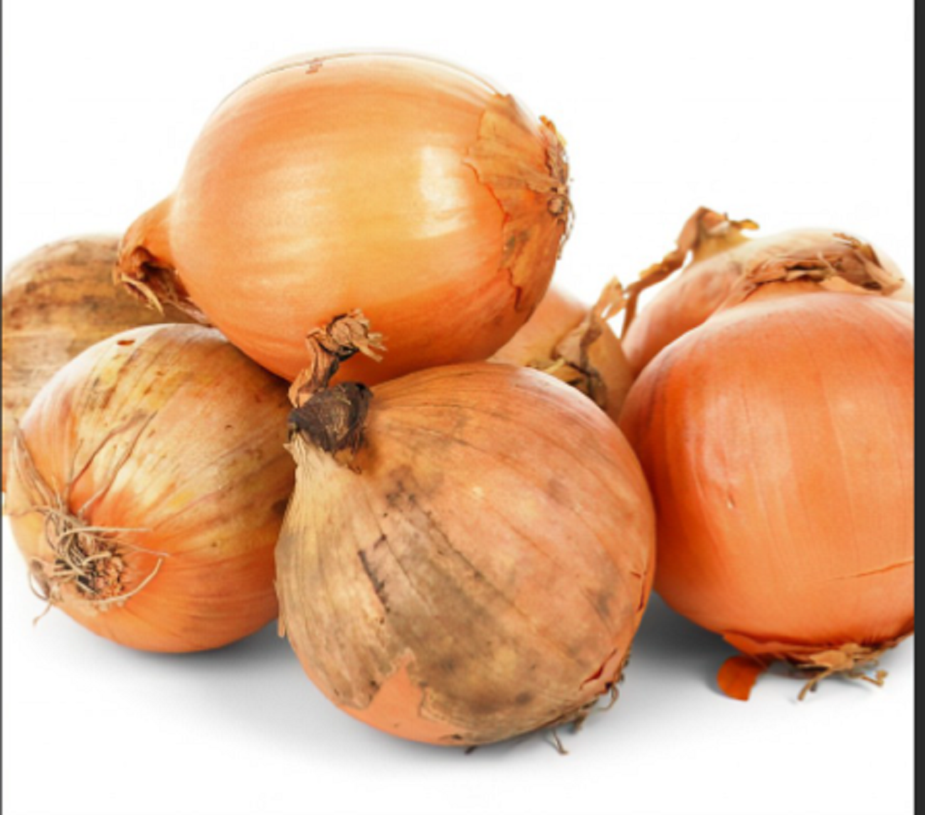 onion sturon.PNG