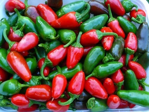 jalapeno.jpg