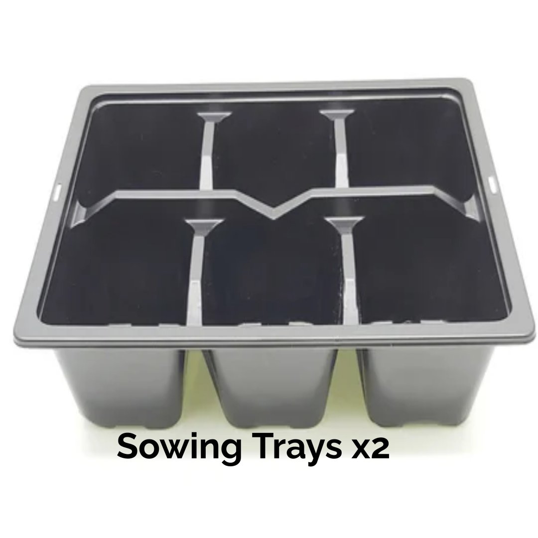 A New Design (93).jpg