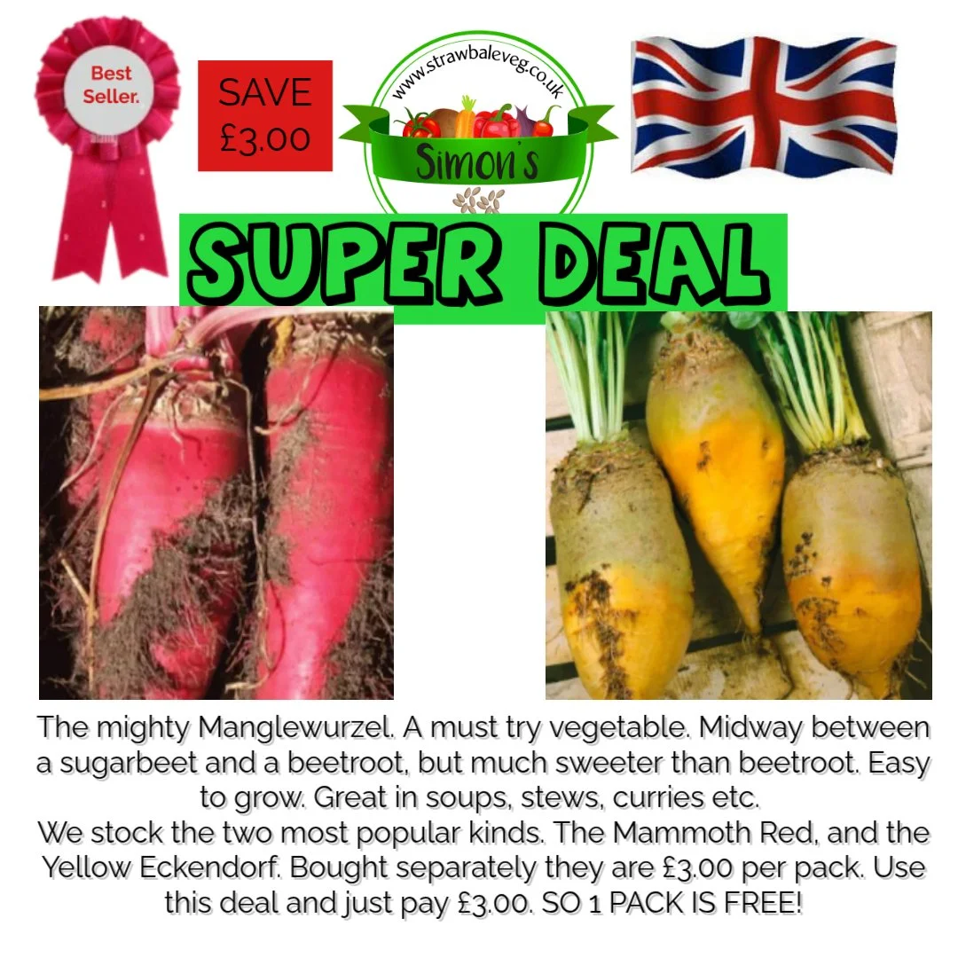 A New Design - 2026-03-13T113535.244.jpg