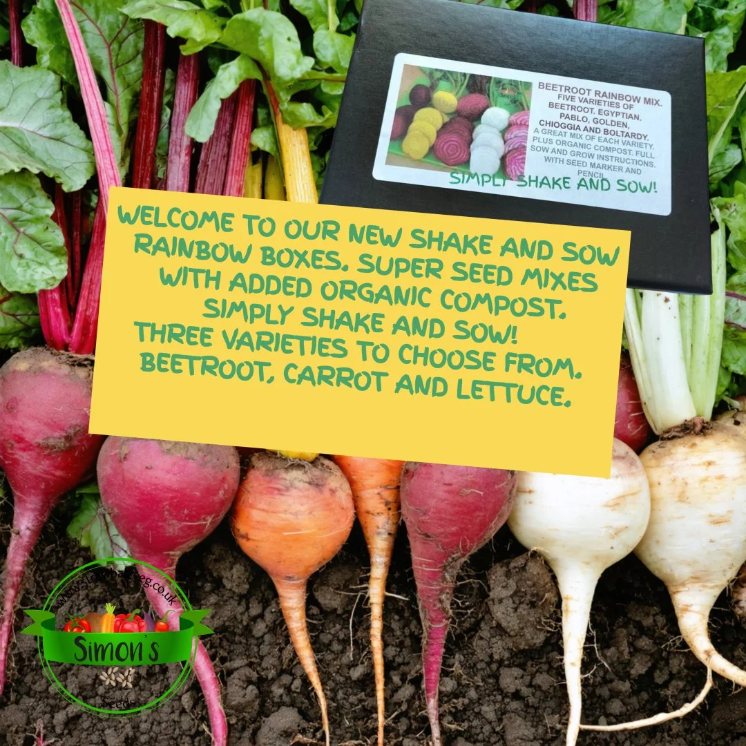 A New Design (66).jpg