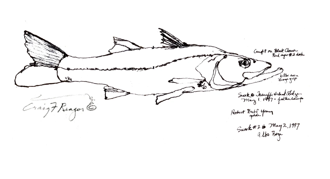 snookbelize21907.jpg