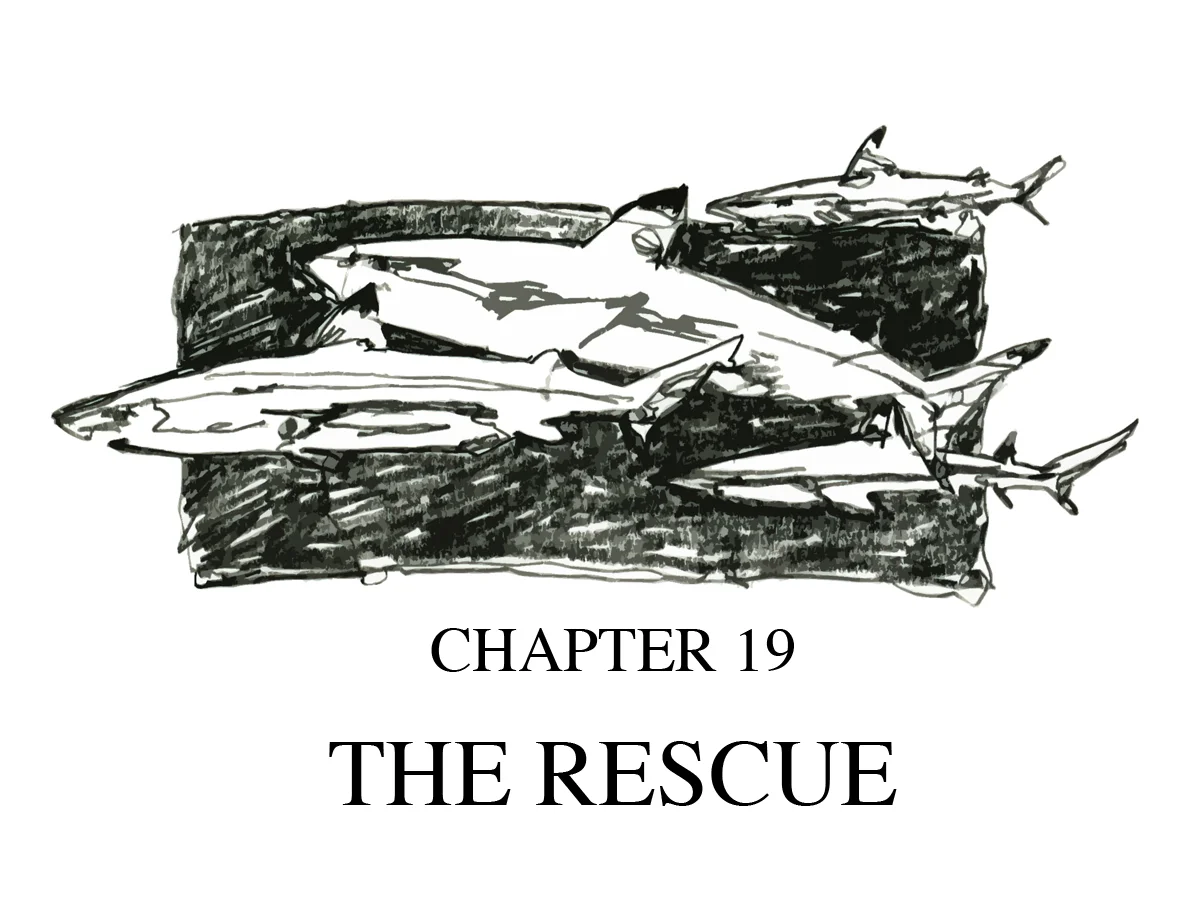 Book Illustration