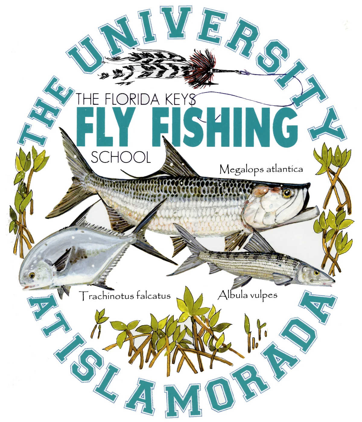 Florida Keys Outfitters Fly Fishing School
