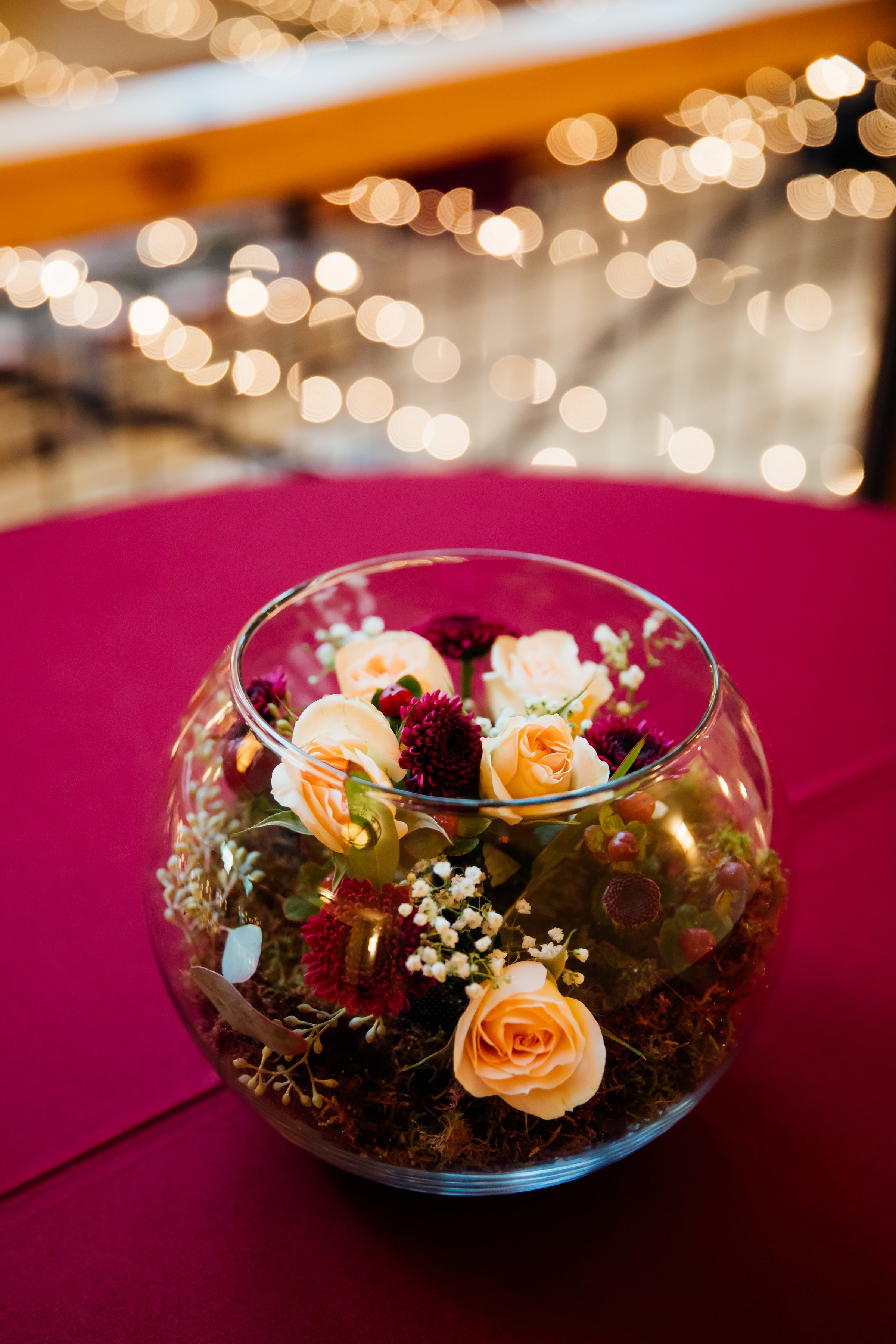 Adelaide_Philip_Reception-21.jpg