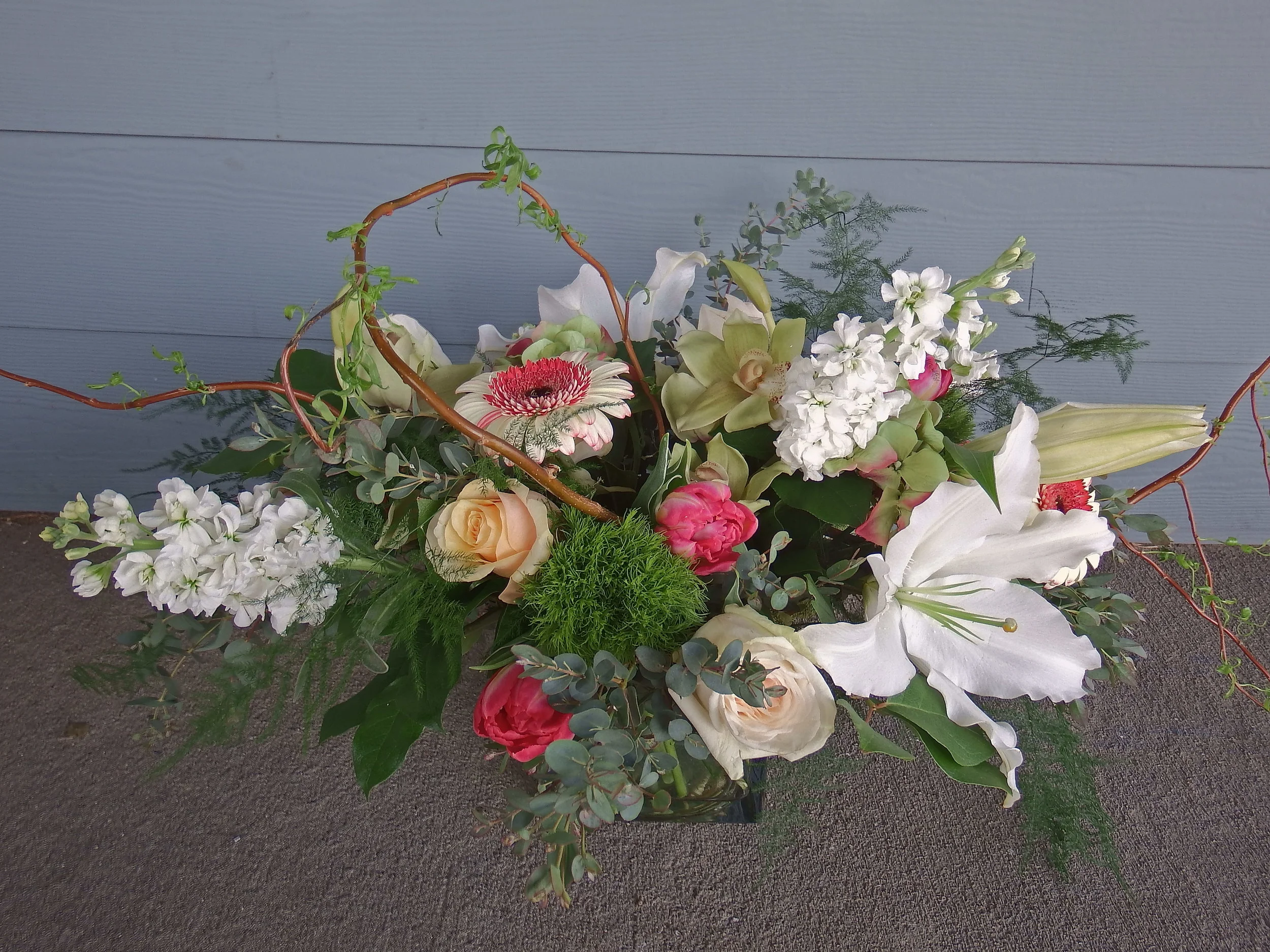 DSCF1663.JPG