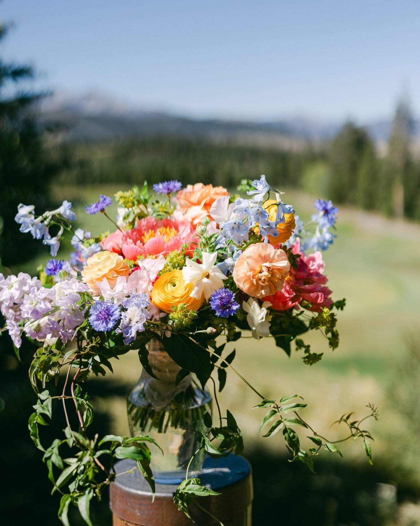 Happy Mother's Day from all of us at Garden of Eden! Make her day as bright and joyful as she makes yours every day! 

📸 @laurafoote
✨ @jess_pinkcevents
📍#skitiplodge @vailresortsweddings
.
.
.
.
.
.
.
.
.
.
.
.
.
#summitcounty
#summitcountywedding