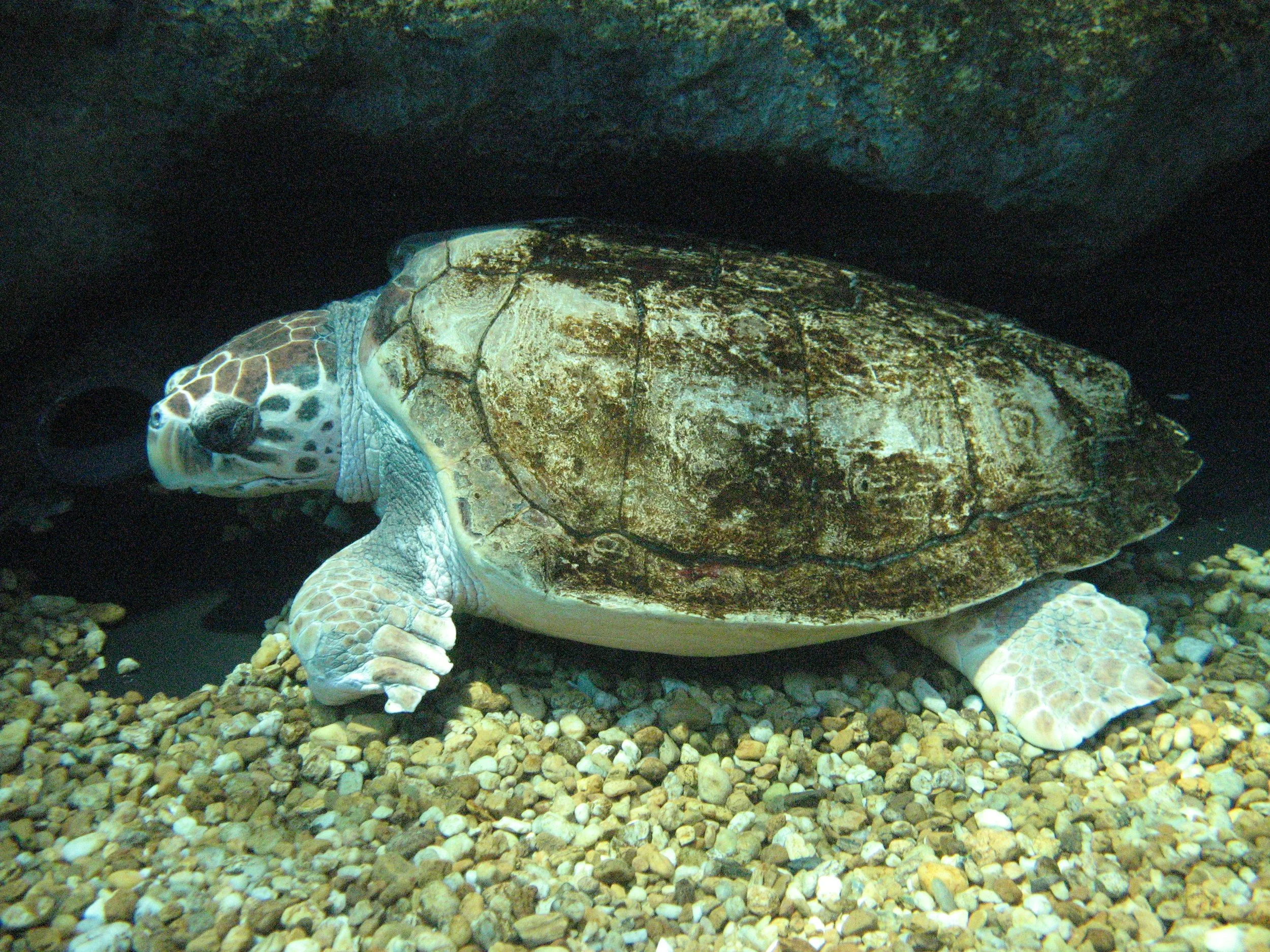 FA_PH1_051310_162337031_01_FAO3GIX1386.JPG
