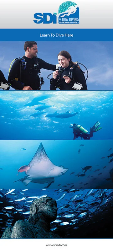 SDI-Learn-to-Dive-Banner-360x800.jpg